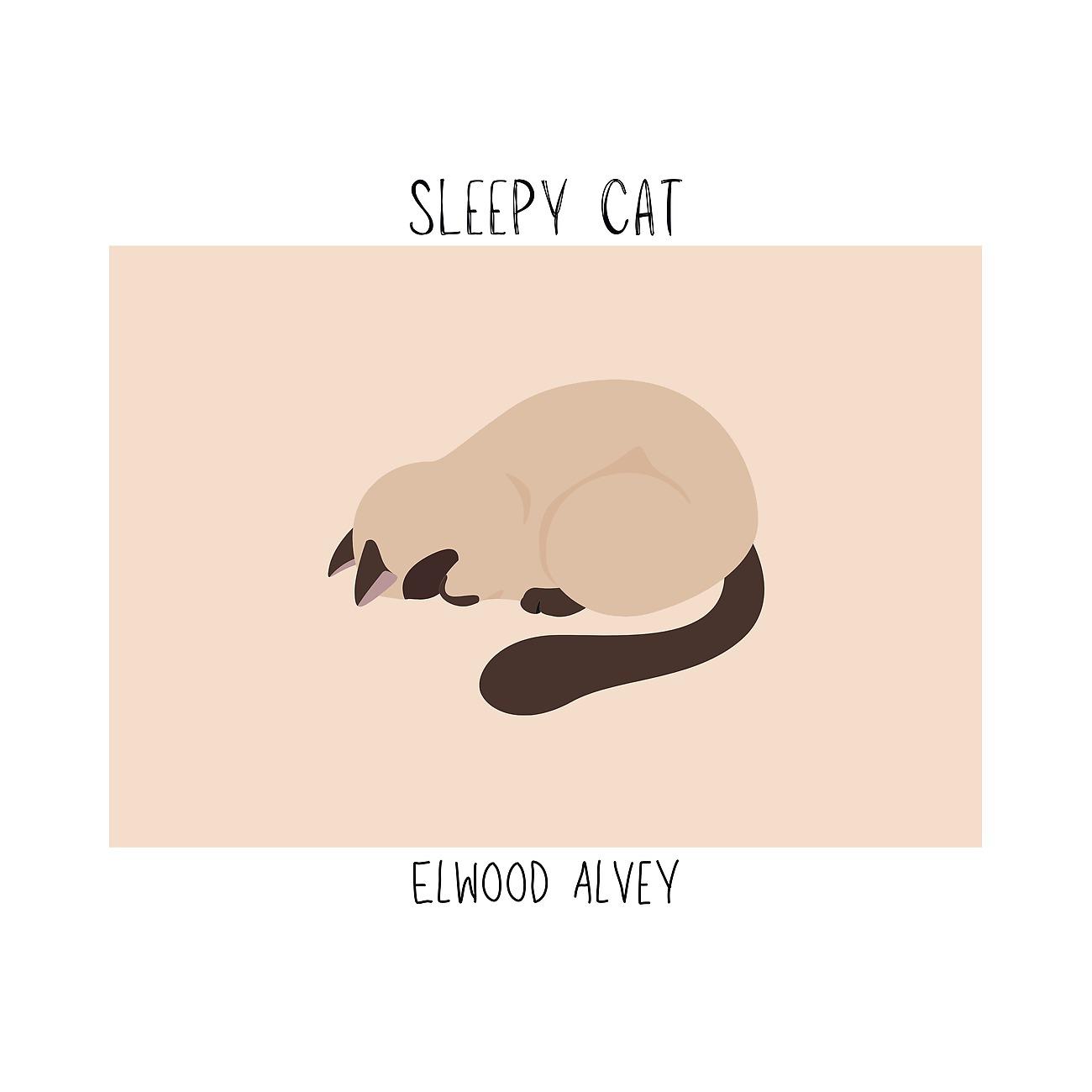 Постер альбома Sleepy cat