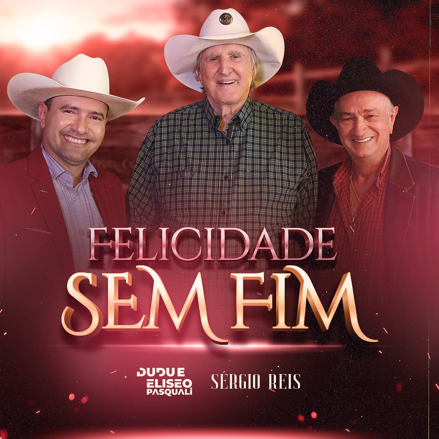 Постер альбома Felicidade Sem Fim
