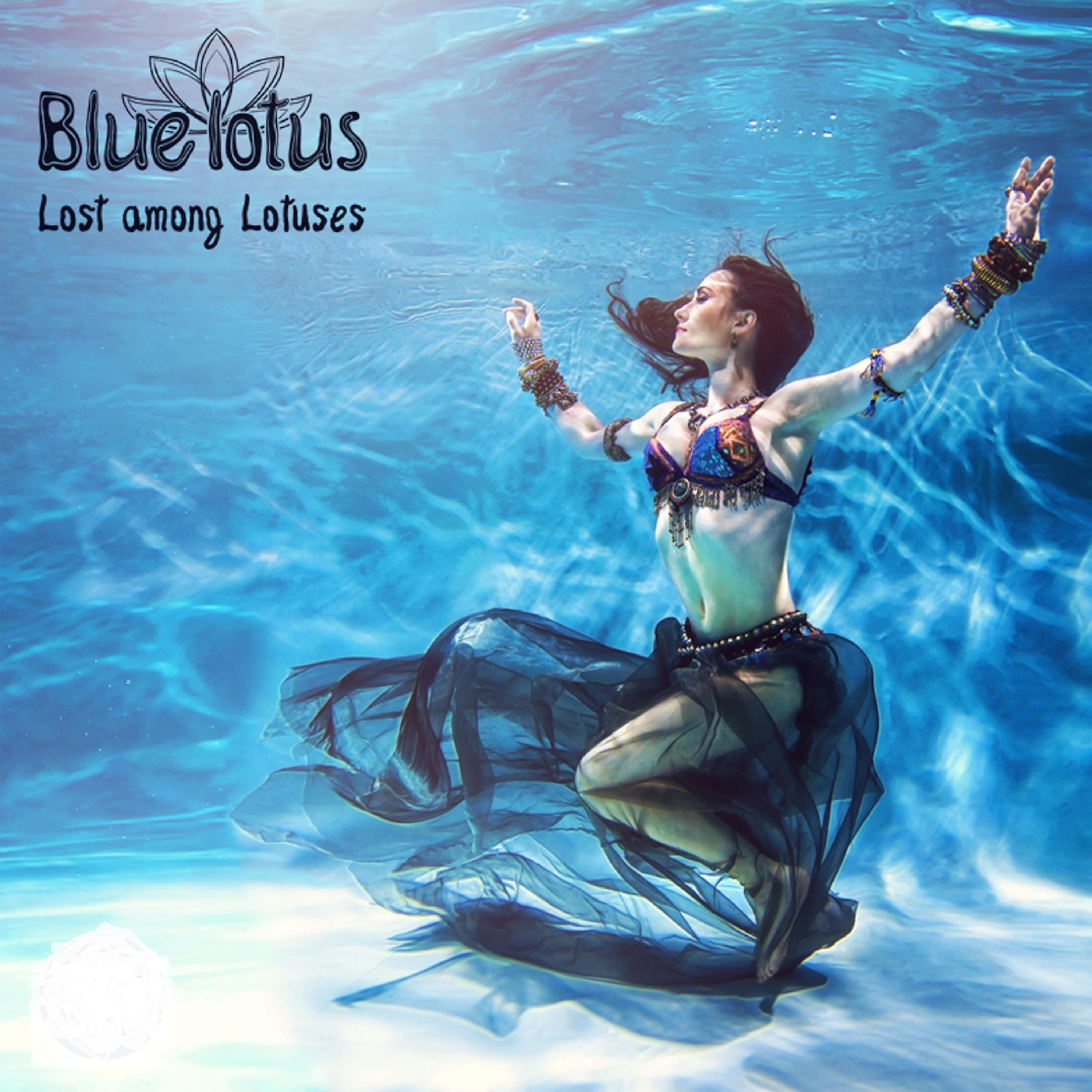 Постер альбома Lost among Lotuses