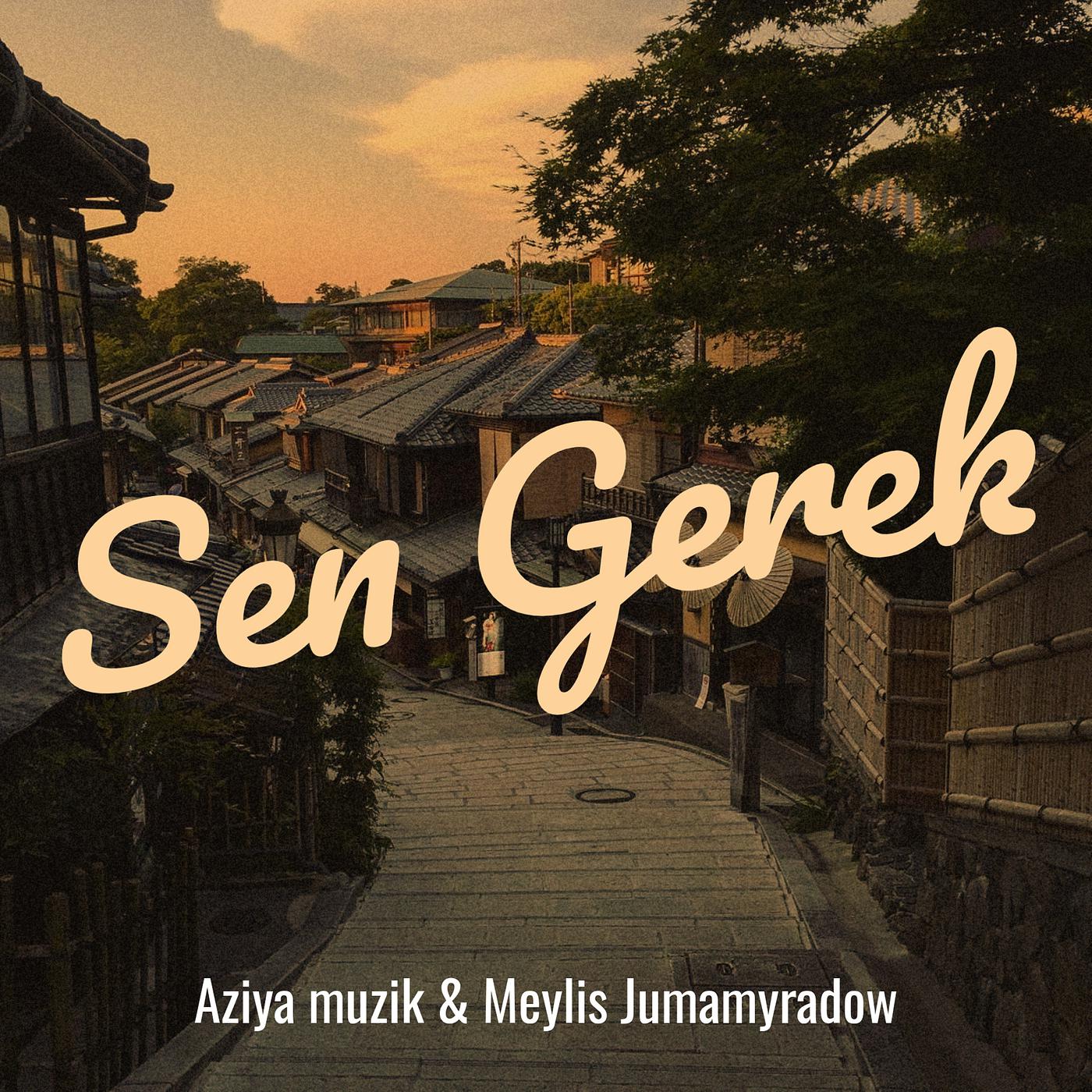 Постер альбома Sen Gerek