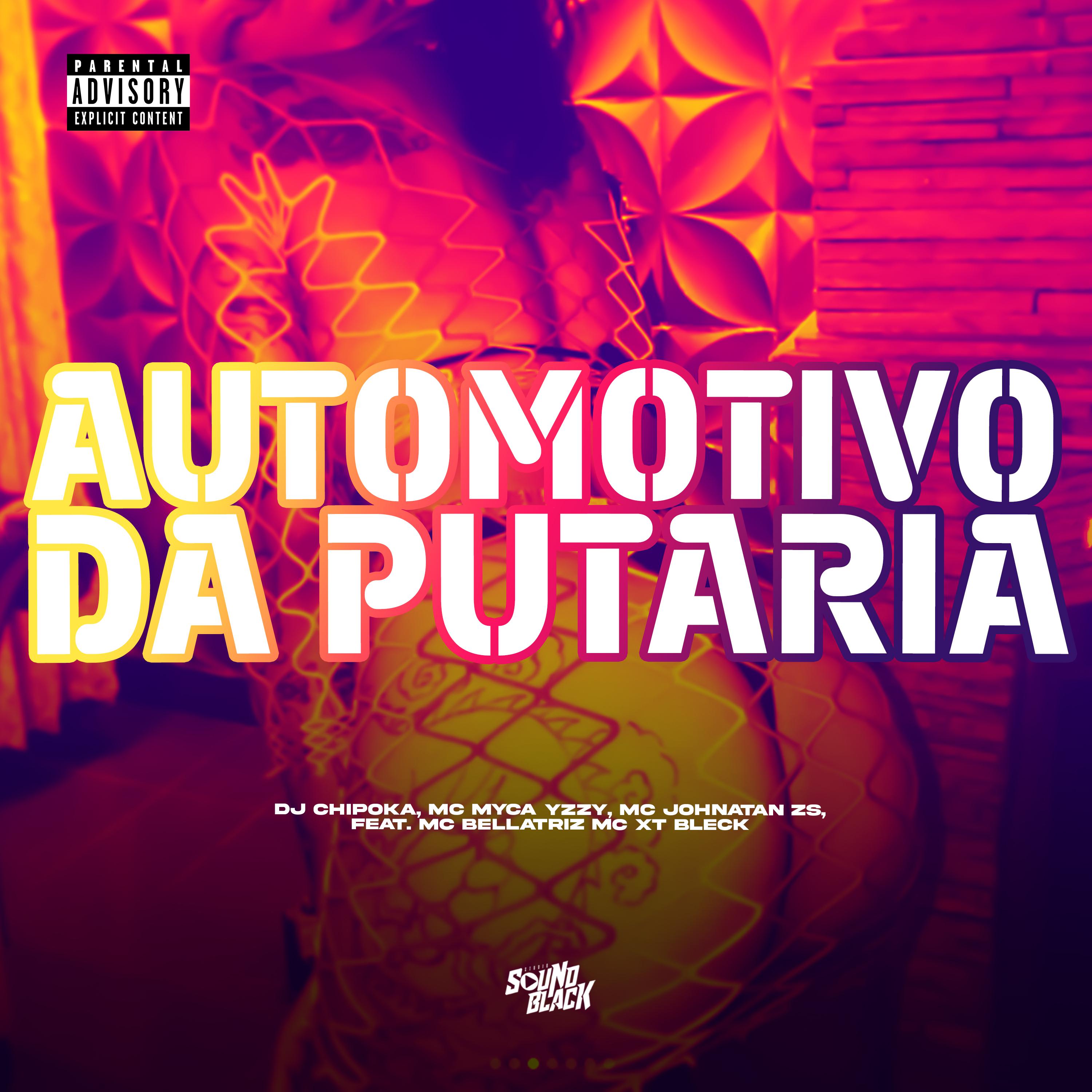 Постер альбома Automotivo da Putaria