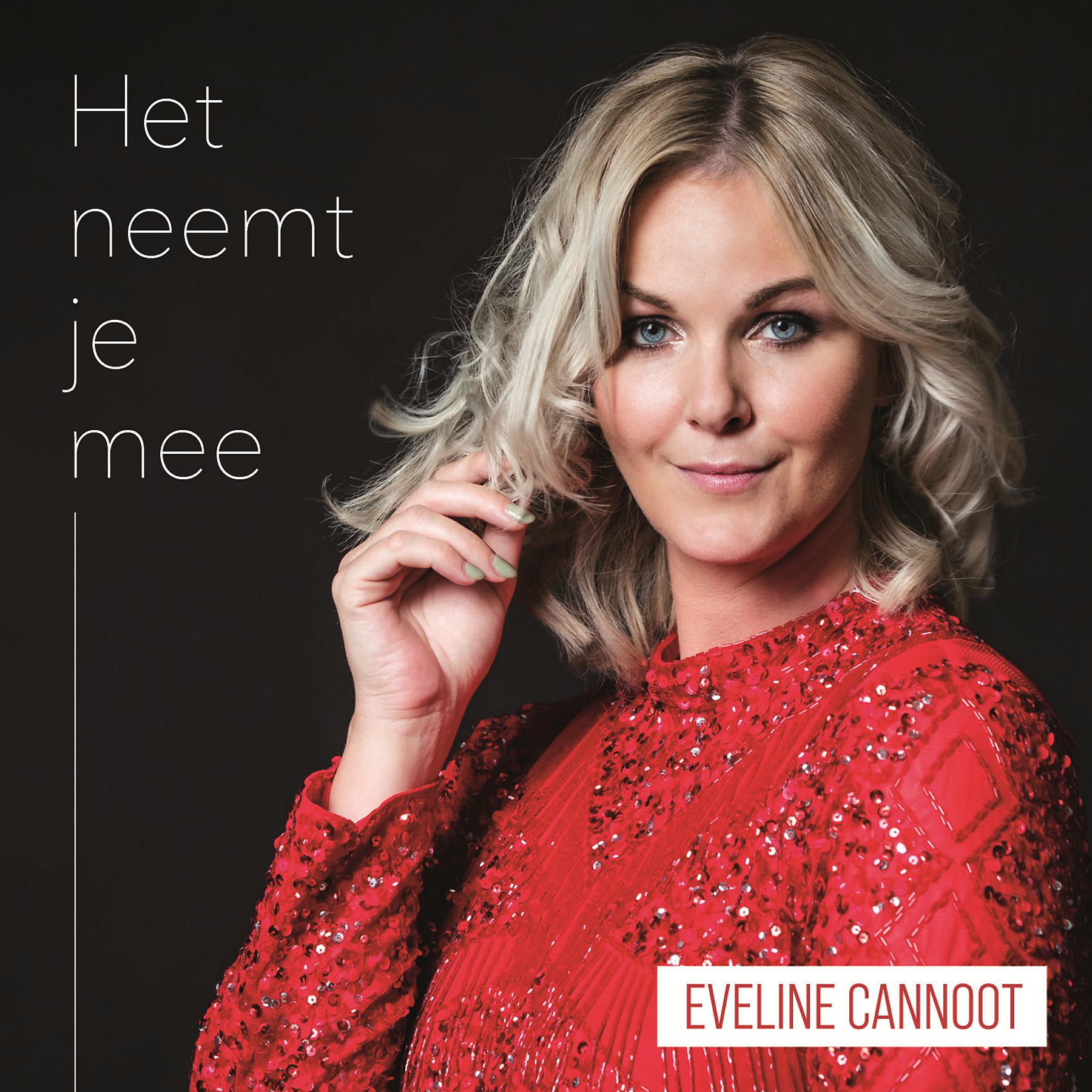 Постер альбома Het Neemt Je Mee