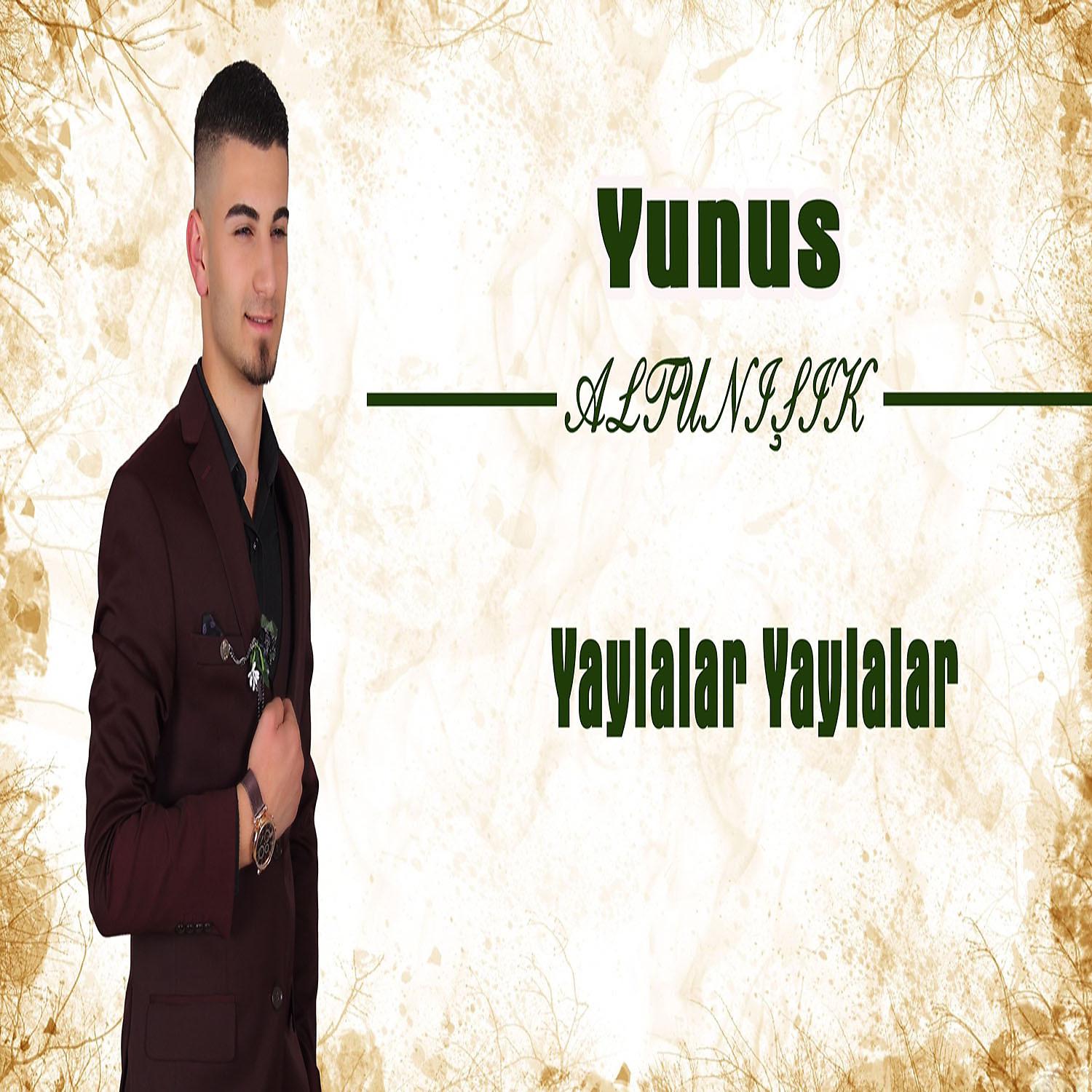 Постер альбома Yaylalar Yaylalar