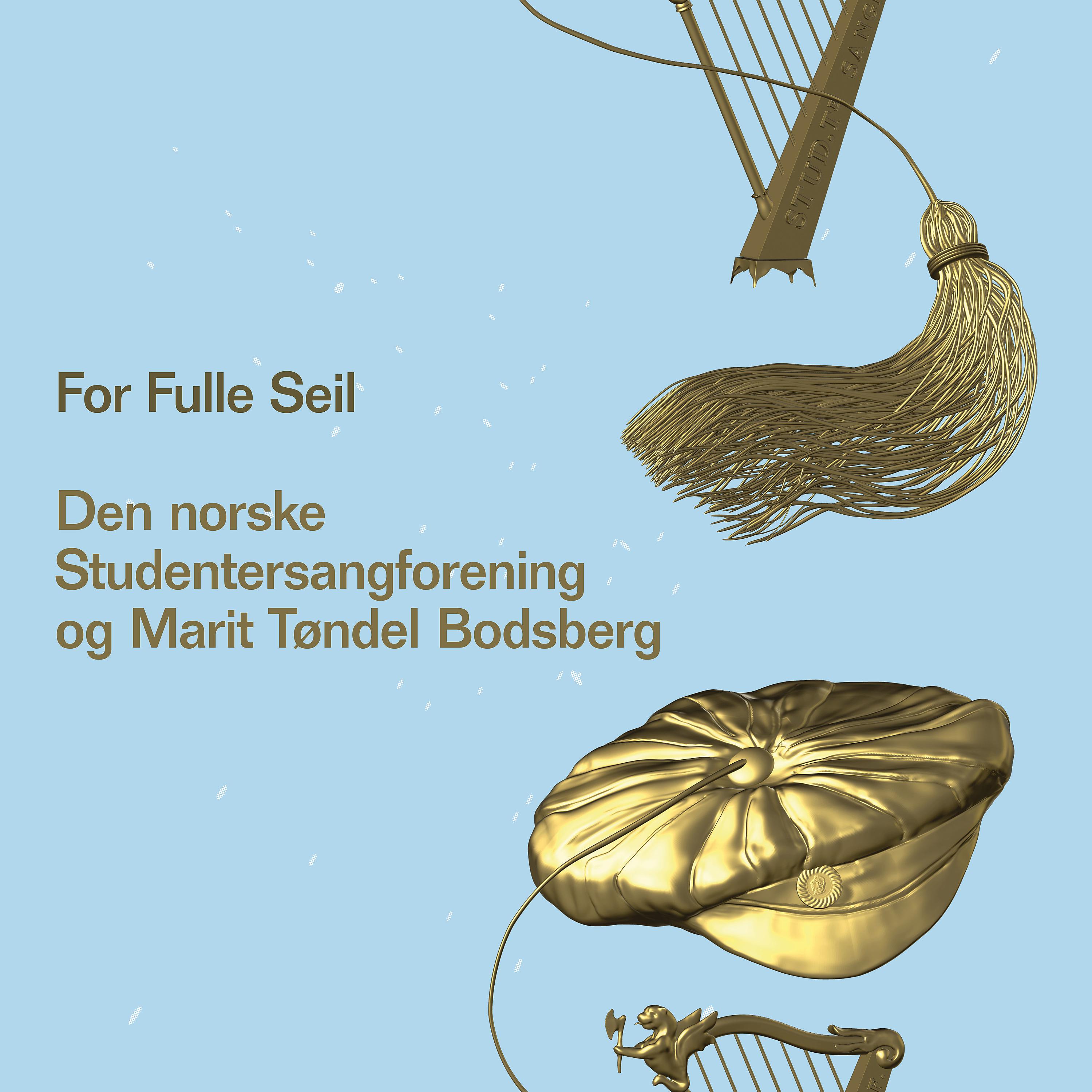 Постер альбома For Fulle Seil