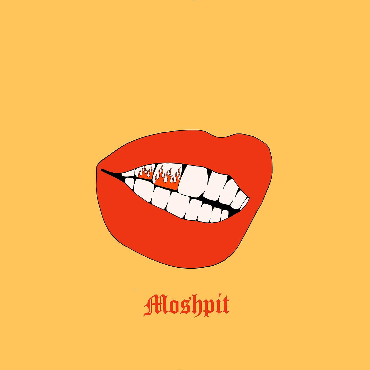 Постер альбома Moshpit