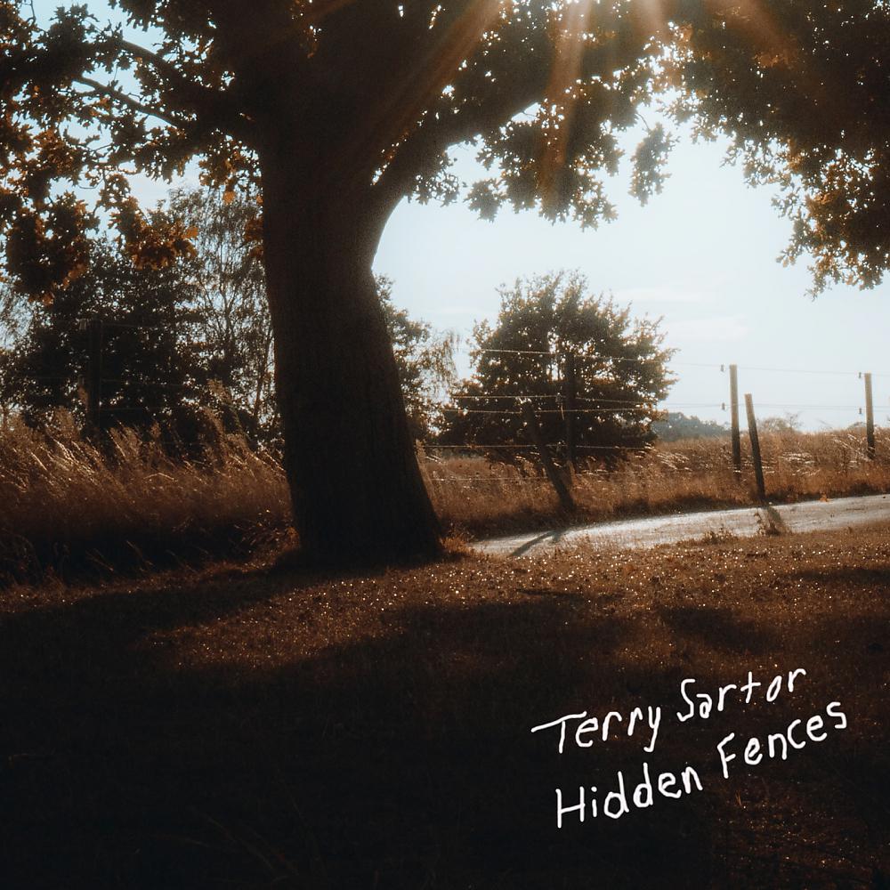 Постер альбома Hidden Fences
