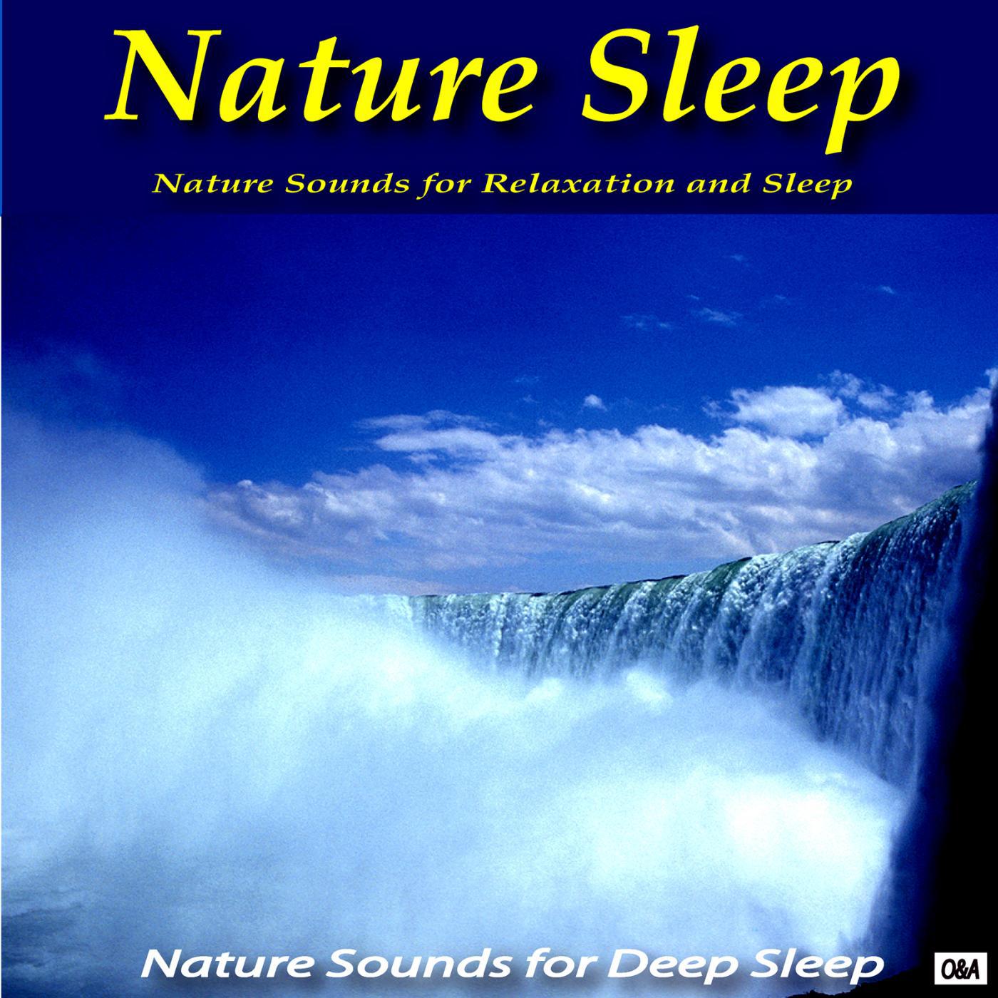 Постер альбома Nature Sleep