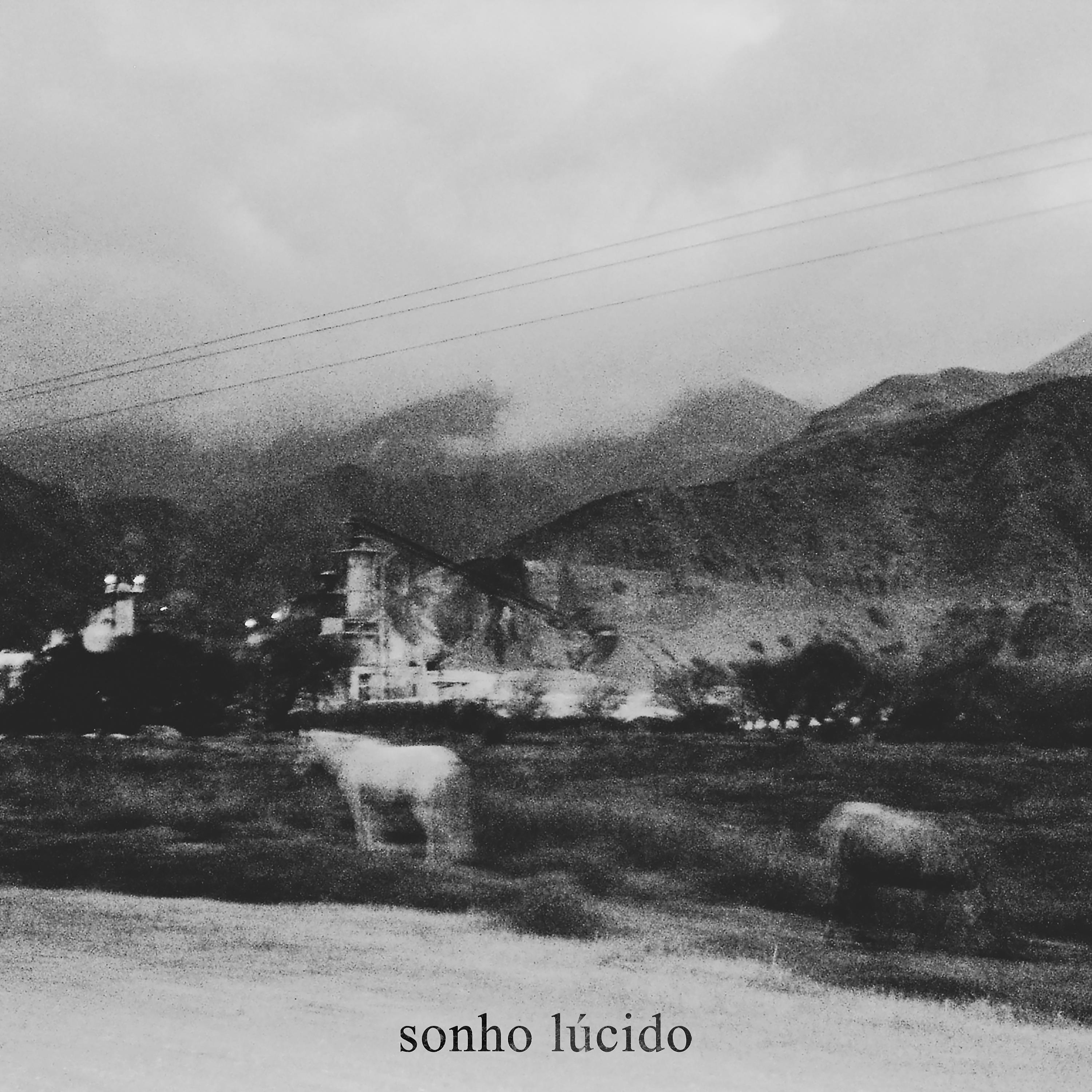 Постер альбома Sonho Lúcido