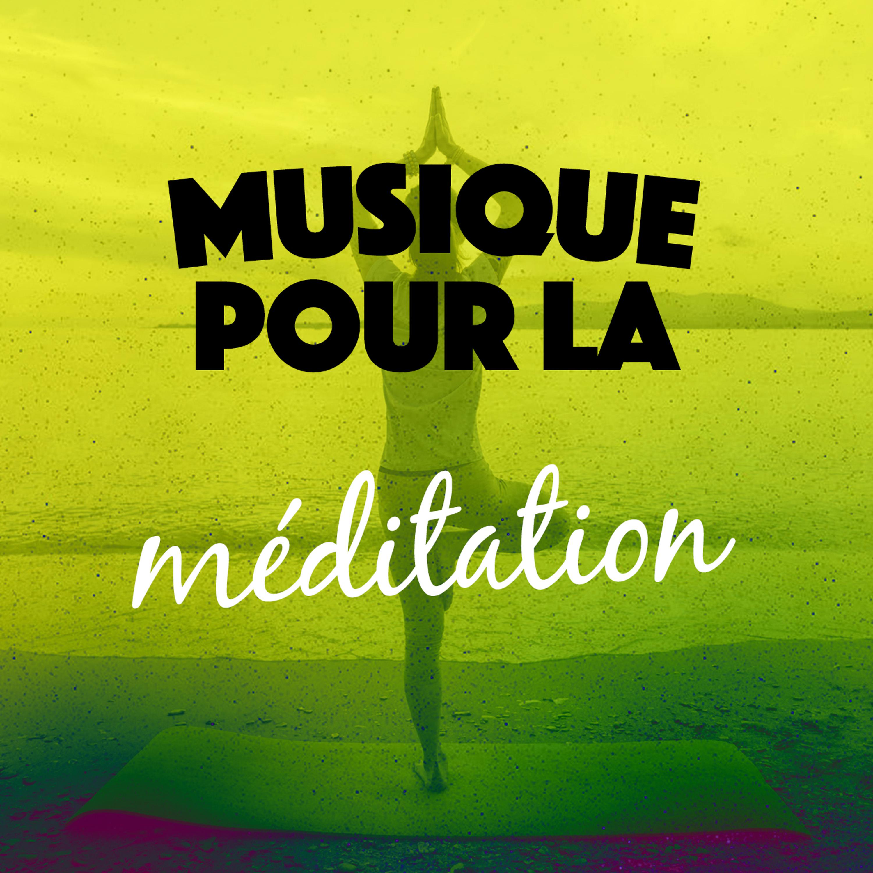 Постер альбома Musique pour la méditation