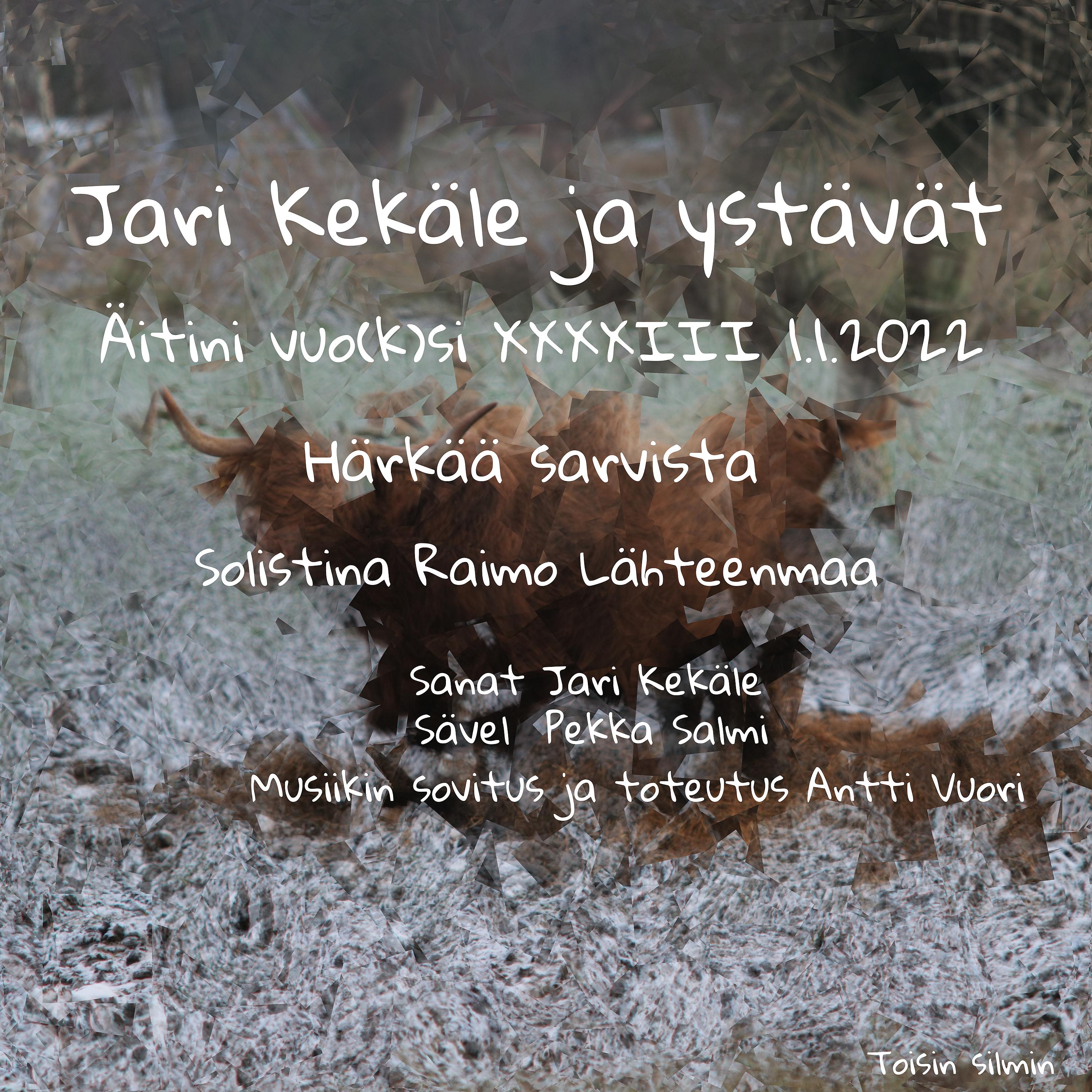 Постер альбома Härkää sarvista