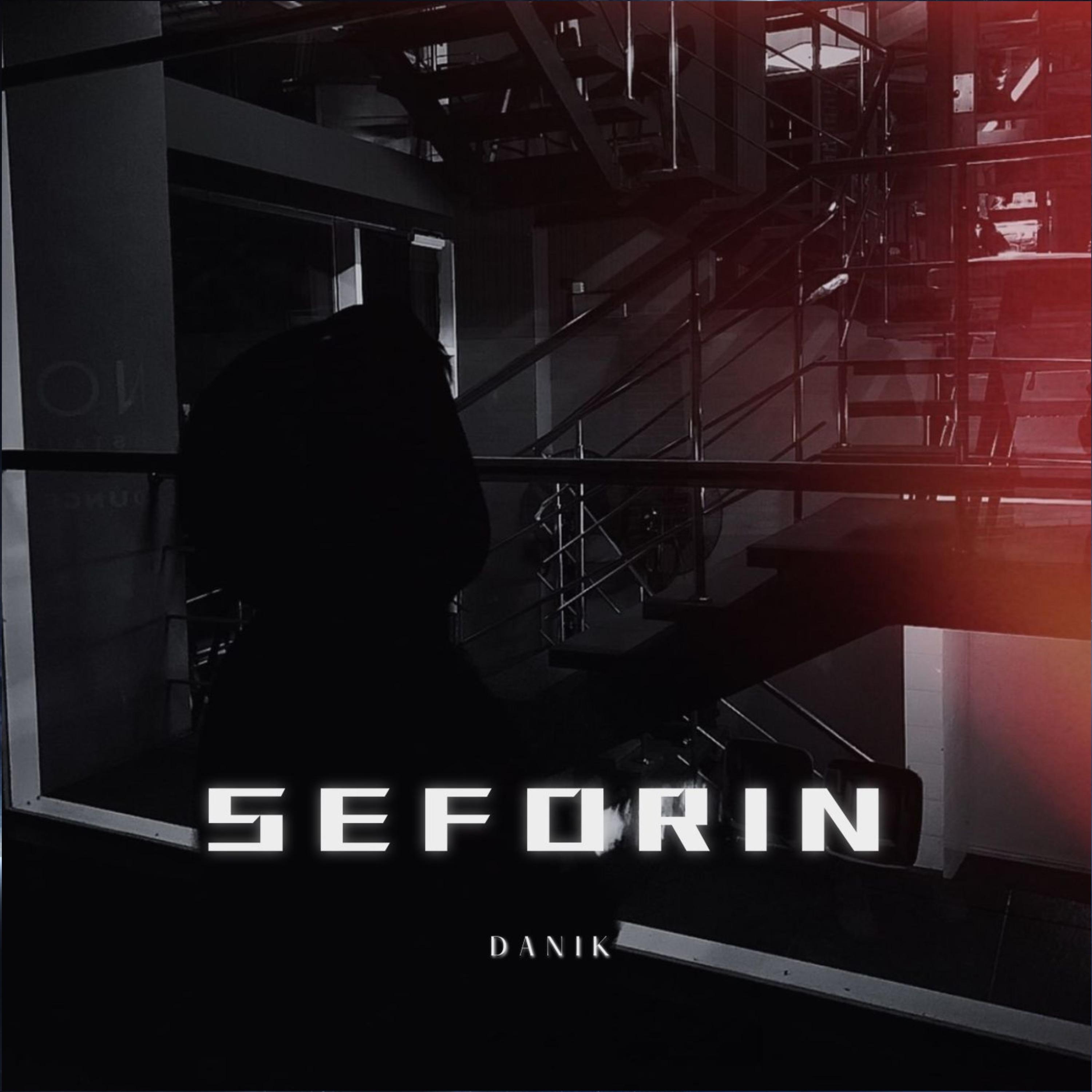 Постер альбома Seforin