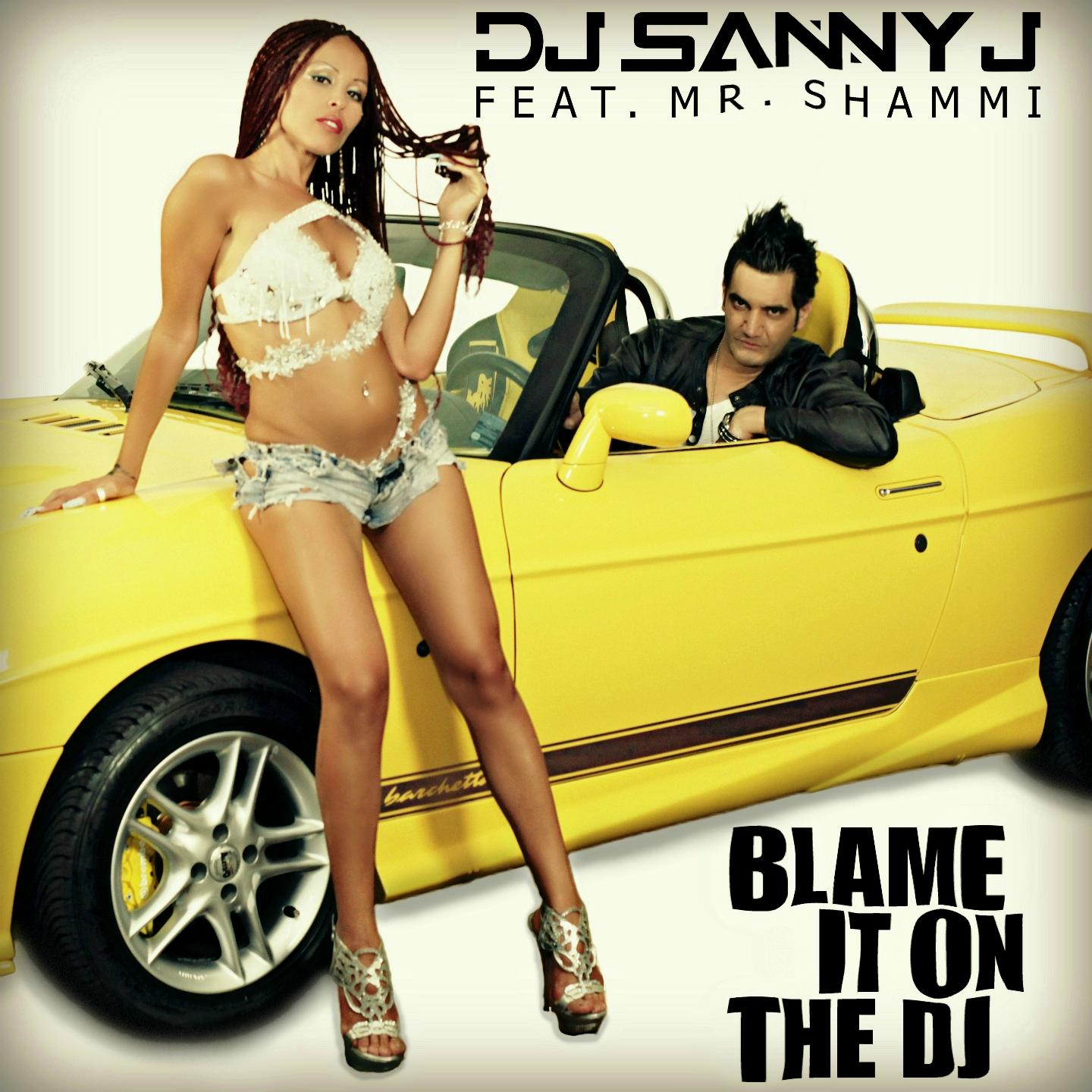 Постер альбома Blame It On the DJ