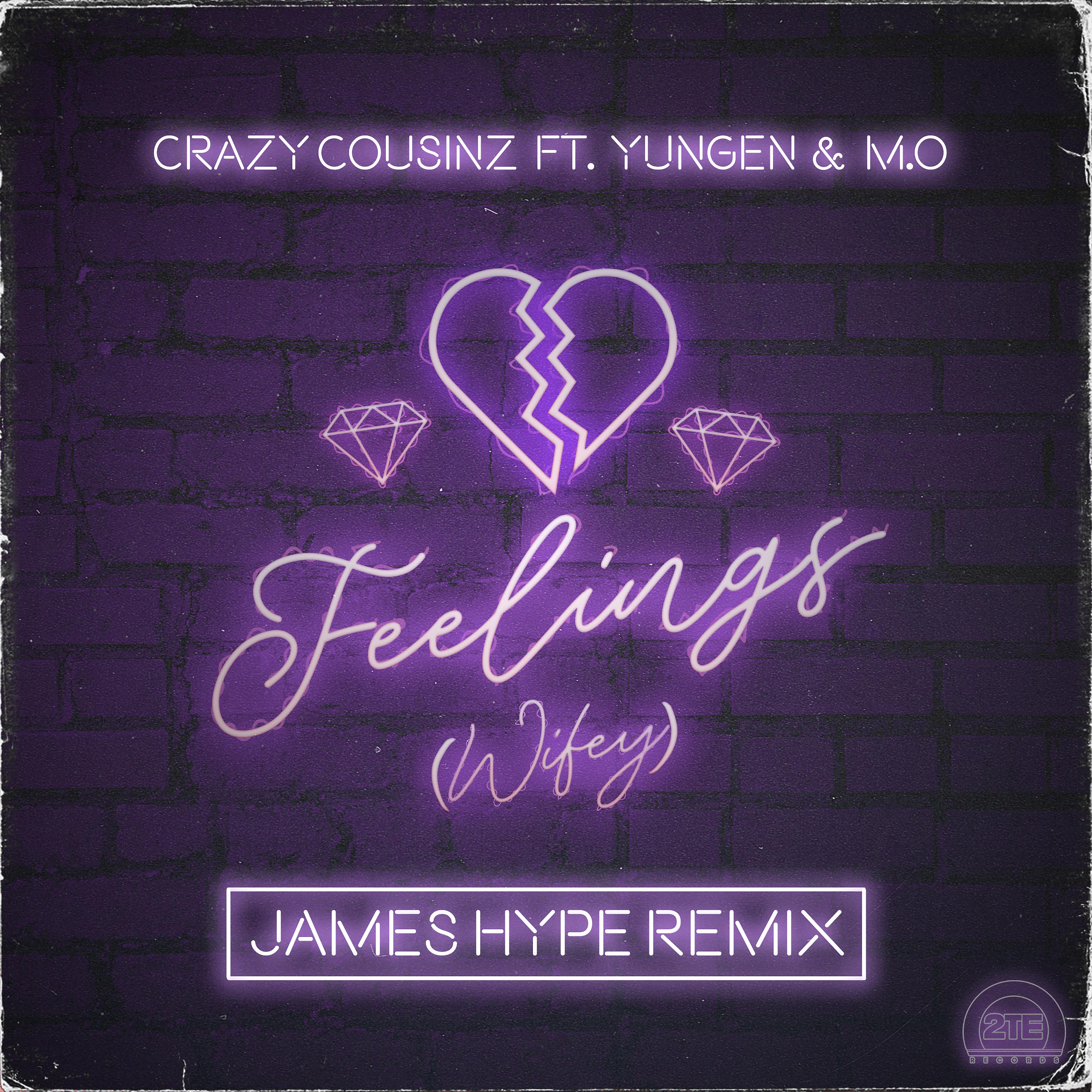 Постер альбома Feelings (Wifey) [feat. Yungen & M.O] [James Hype Remix]