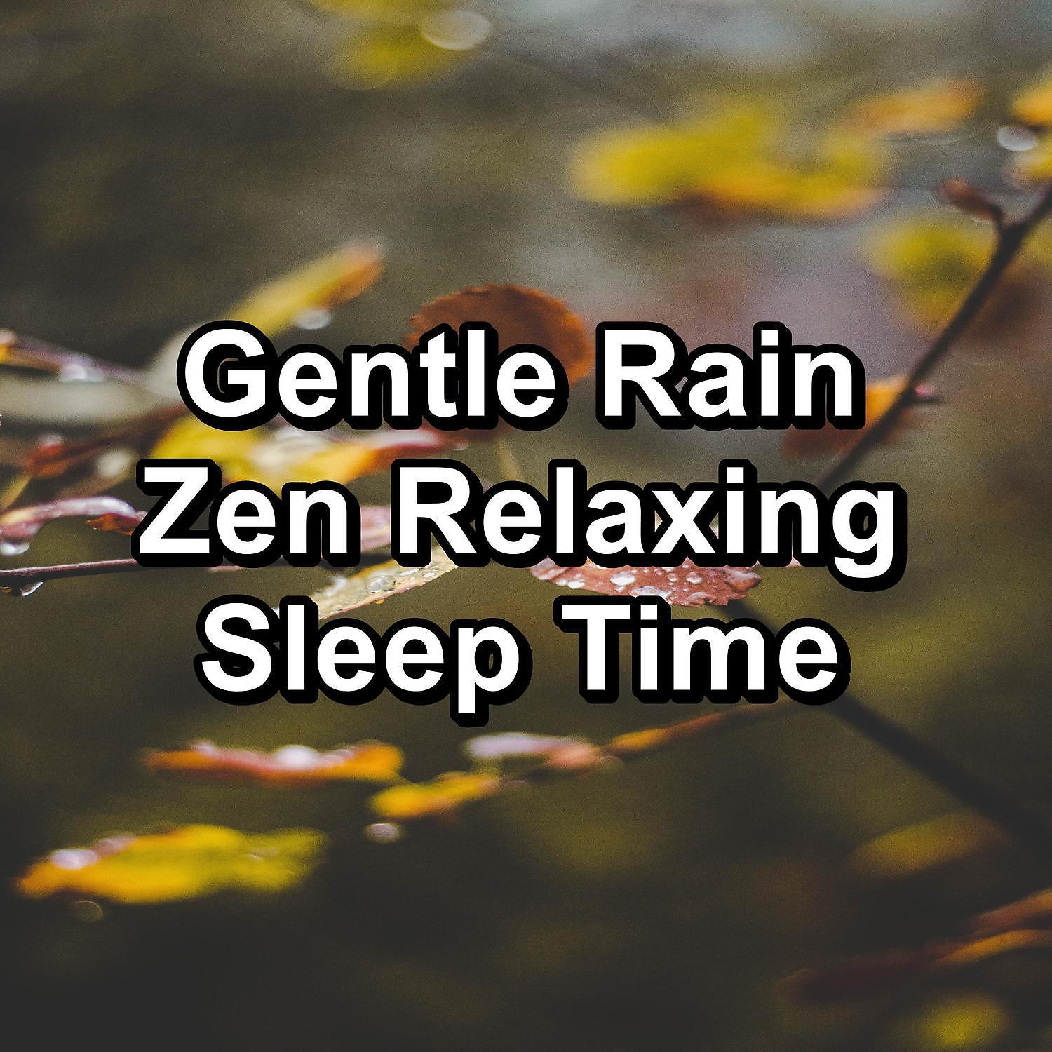 Постер альбома Gentle Rain Zen Relaxing Sleep Time