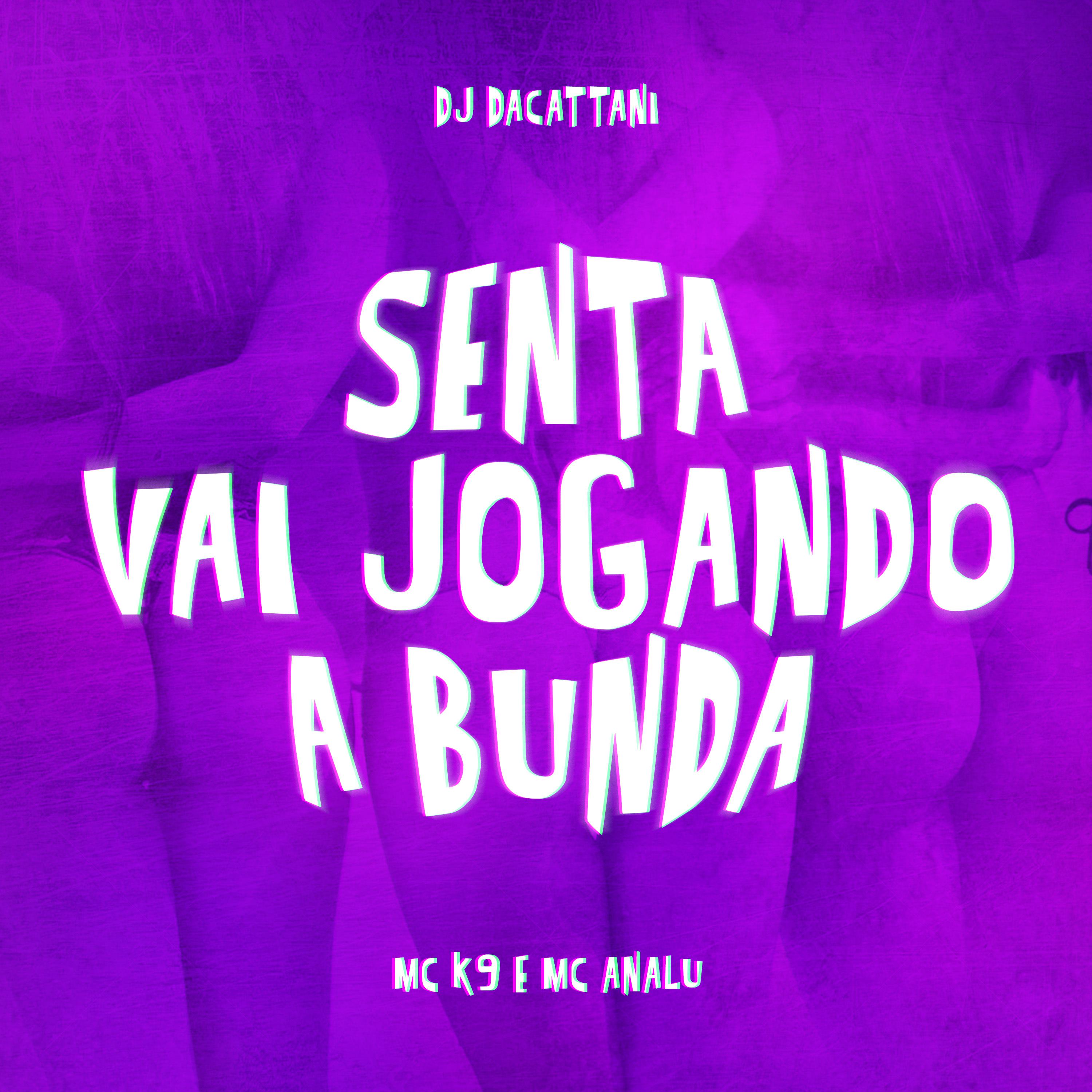 Постер альбома Senta Vai Jogando a Bunda