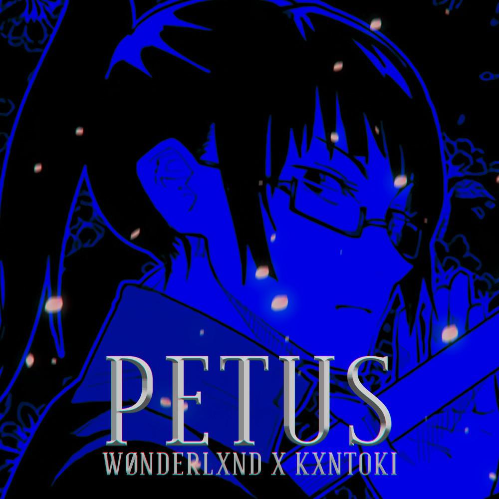 Постер альбома Petus