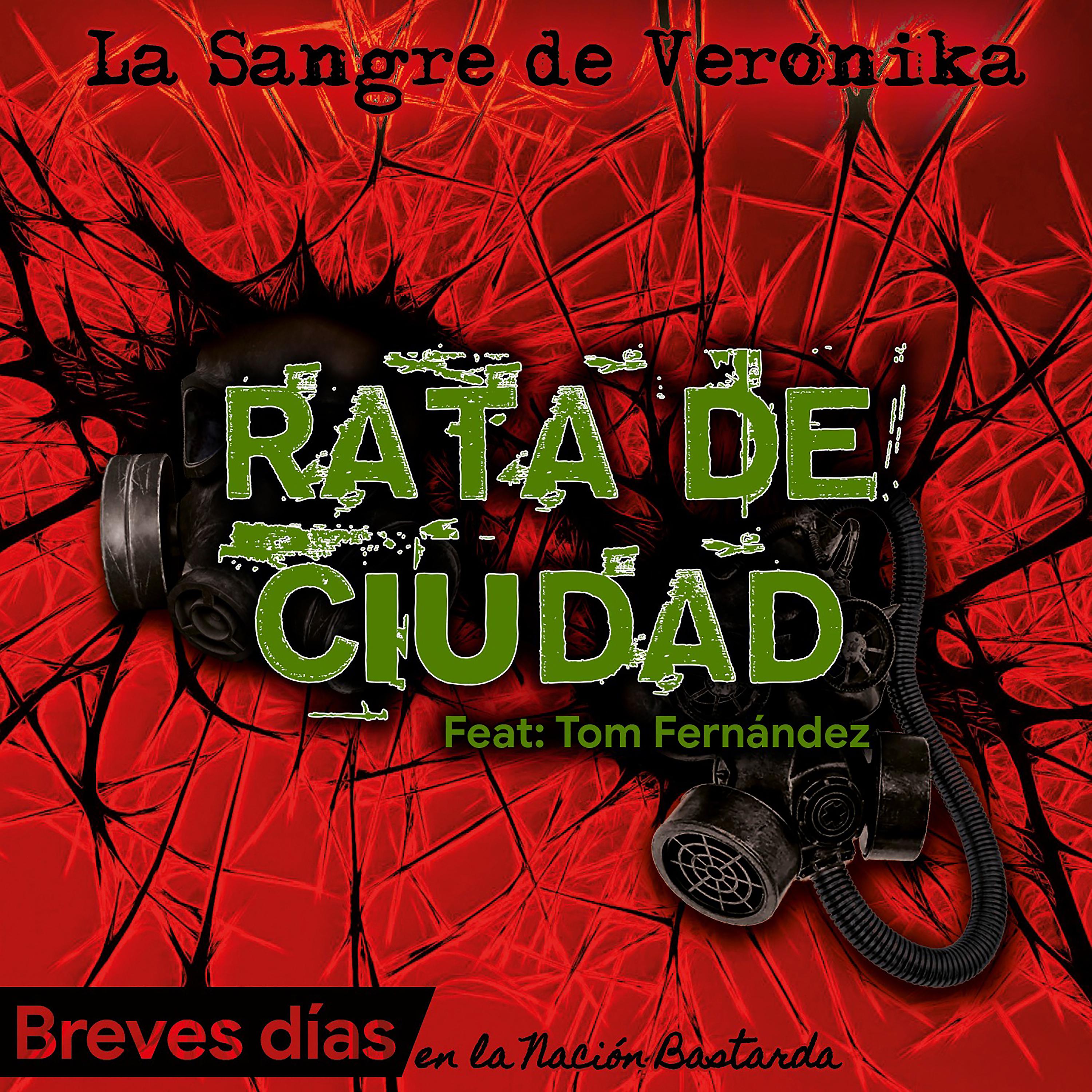 Постер альбома Rata de Ciudad