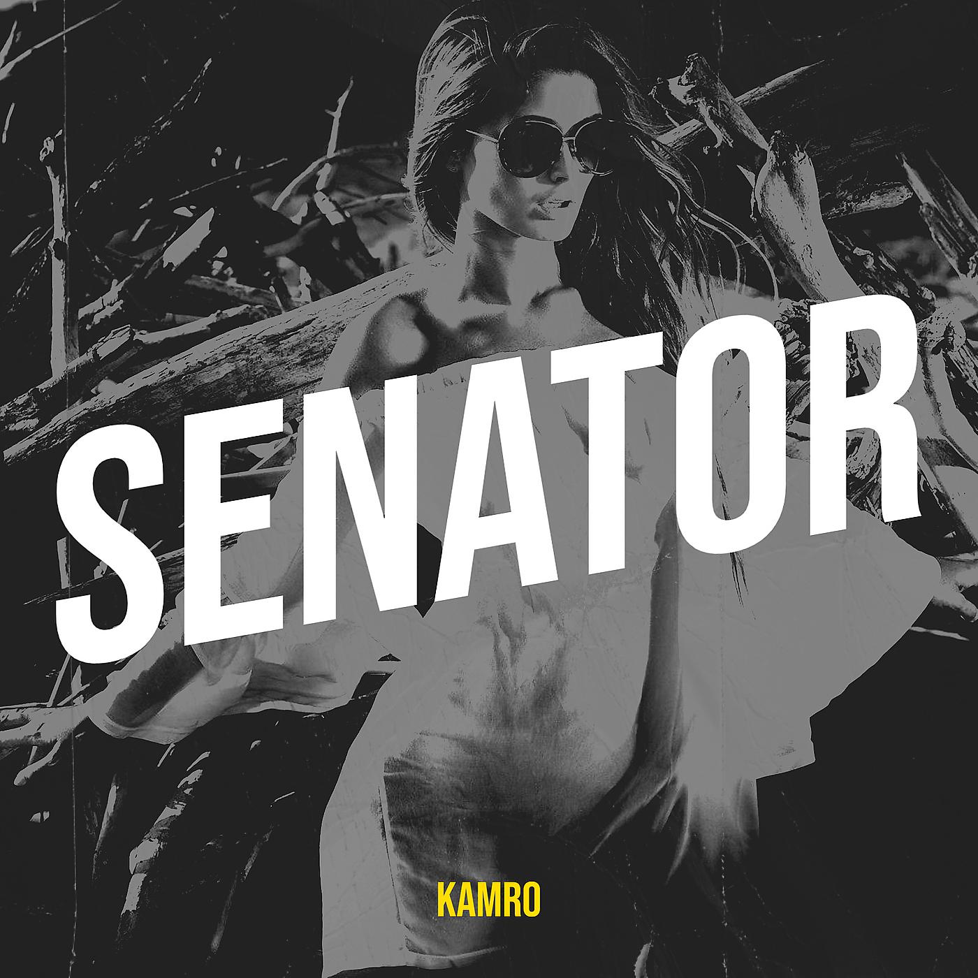 Постер альбома Senator