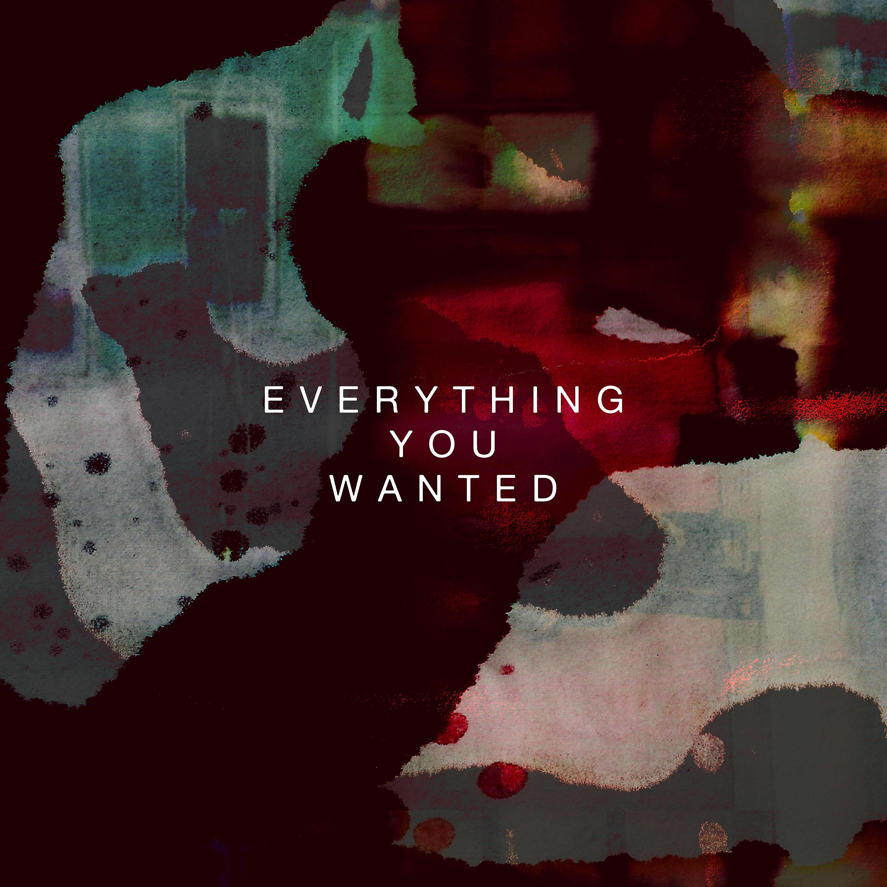 Постер альбома Everything You Wanted