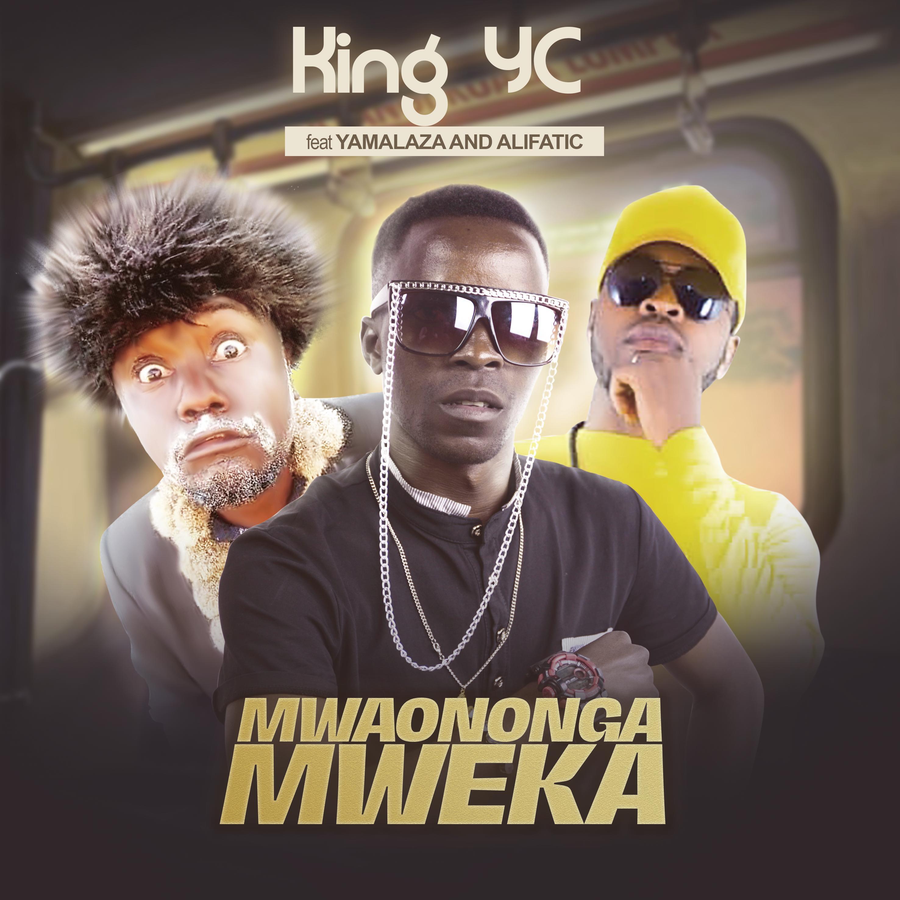 Постер альбома Mwaononga Mweka (feat. AlifatiQ & Yamalaza)