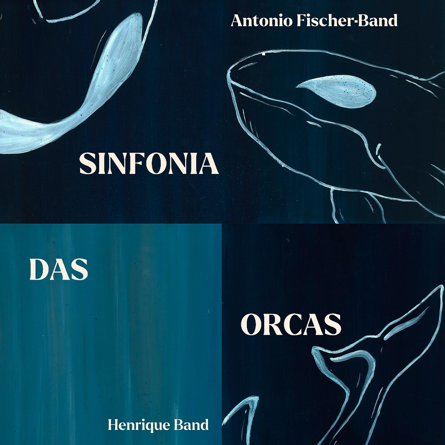 Постер альбома Sinfonia das Orcas