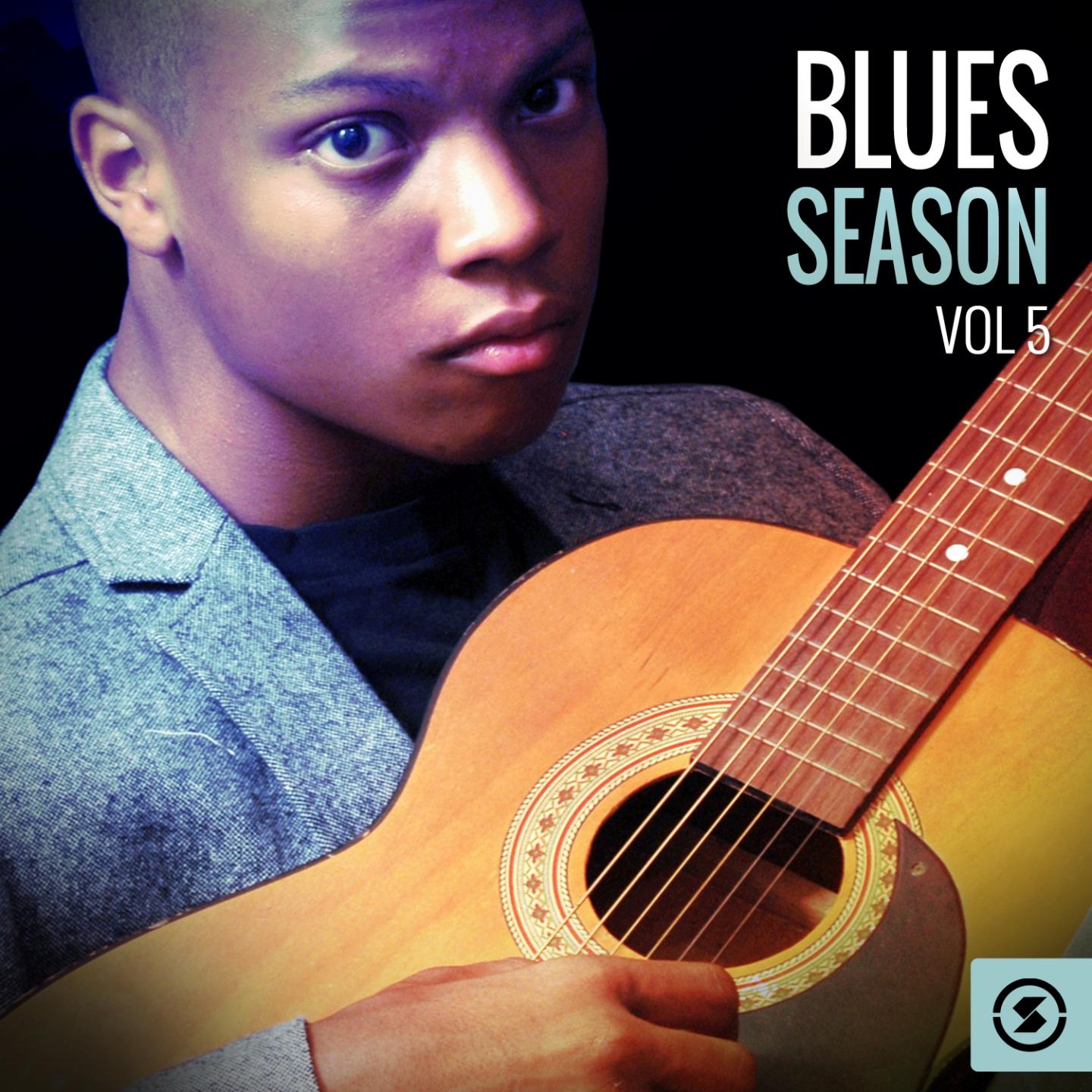 Постер альбома Blues Season, Vol. 5