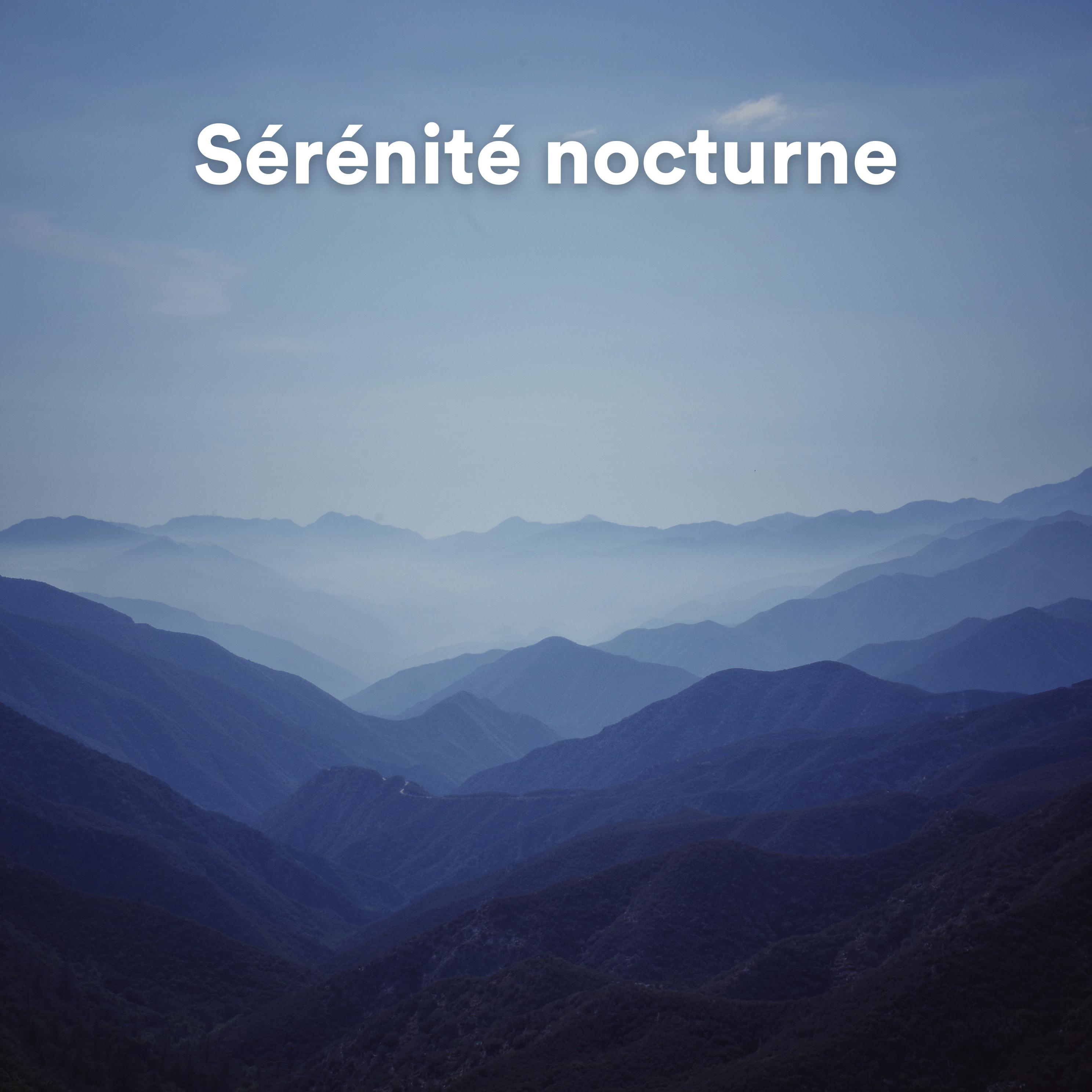 Постер альбома Sérénité Nocturne