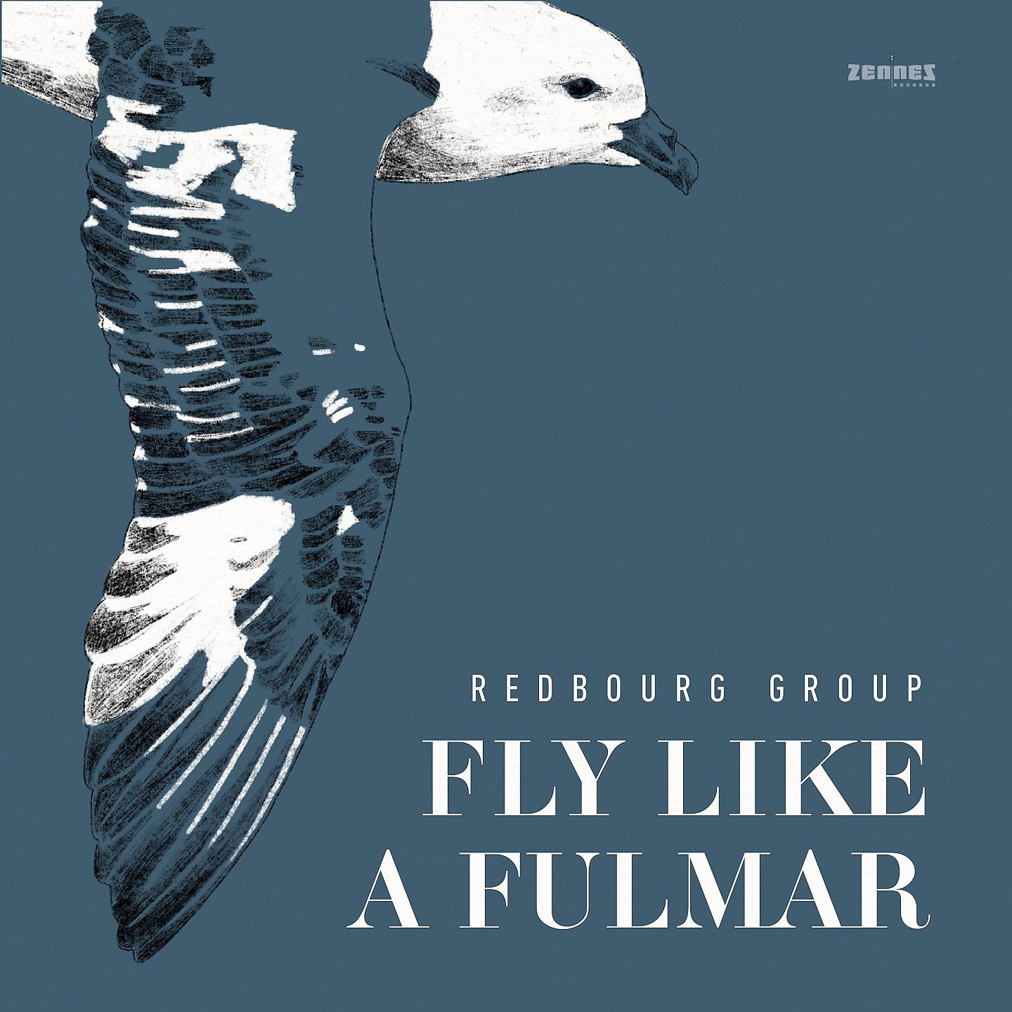 Постер альбома Fly Like a Fulmar