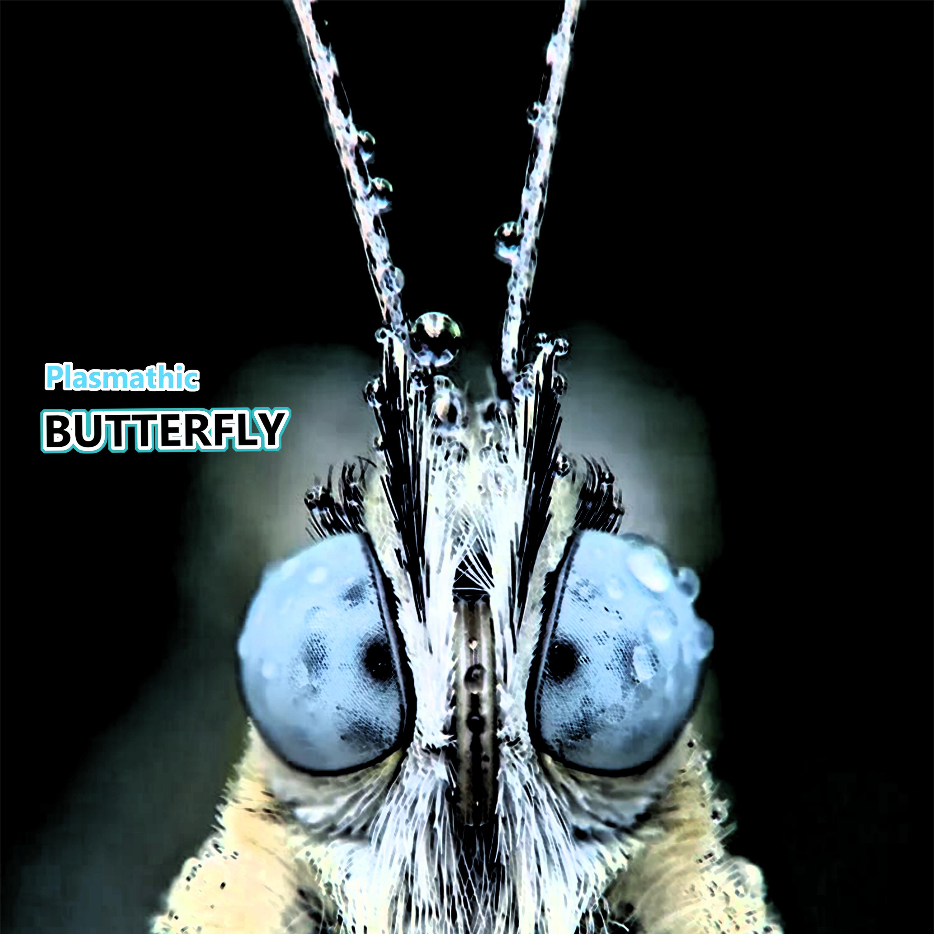 Постер альбома Butterfly