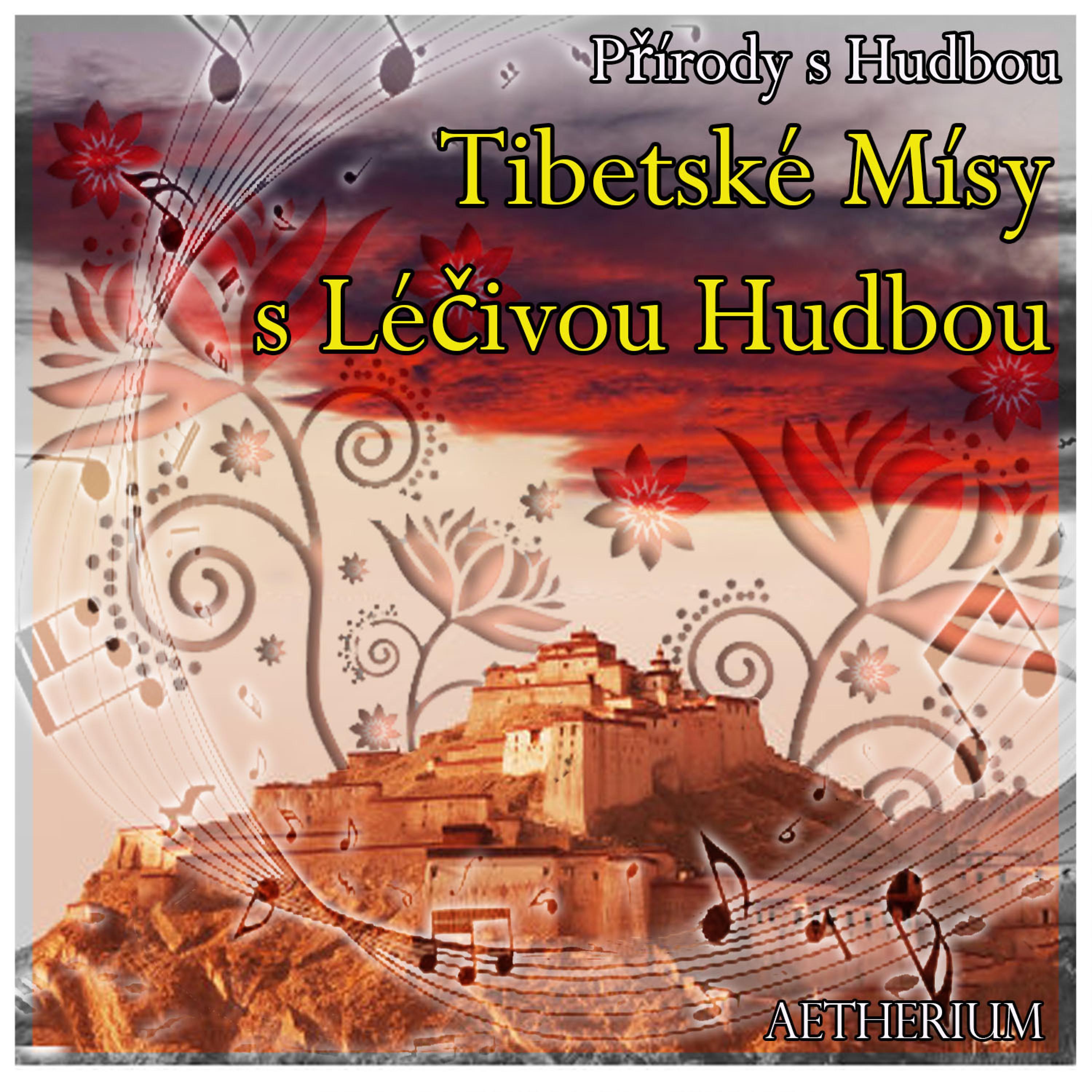 Постер альбома Přírody s Hudbou: Tibetské Mísy s Léčivou Hudbou