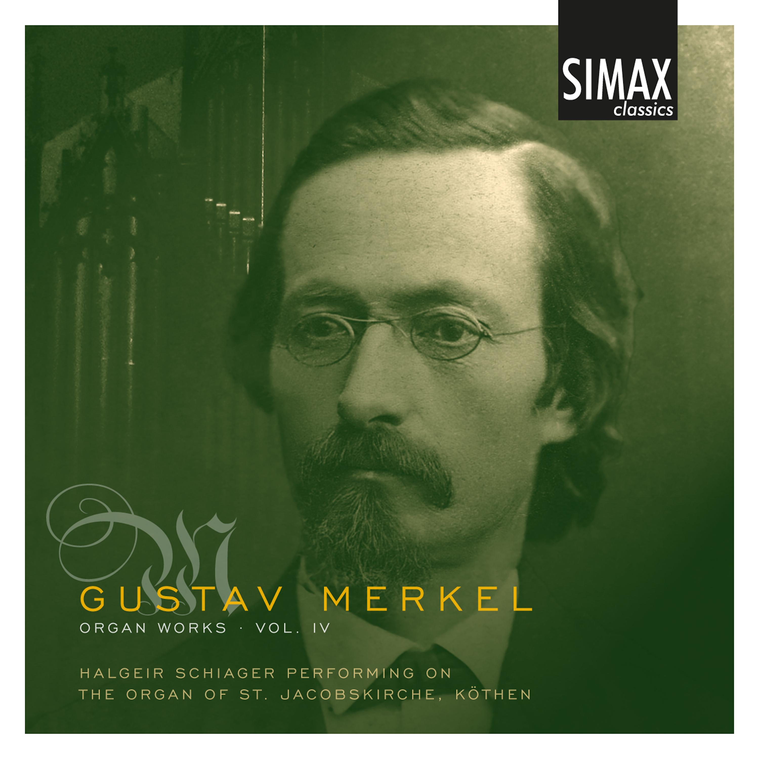 Постер альбома Gustav Merkel Organ Works, Vol. 4
