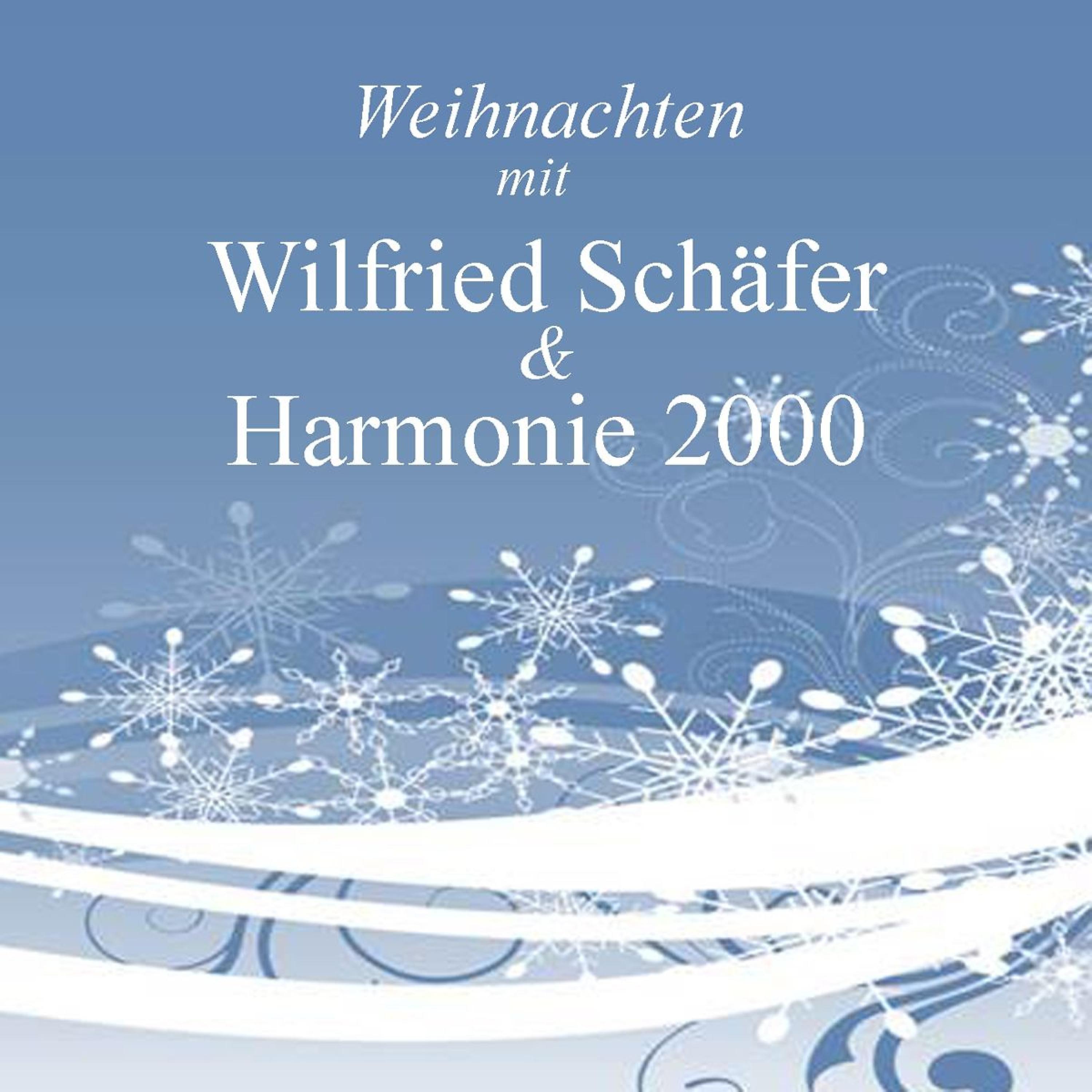 Постер альбома Weihnachten mit Wilfried Schäfer & Harmonie 2000