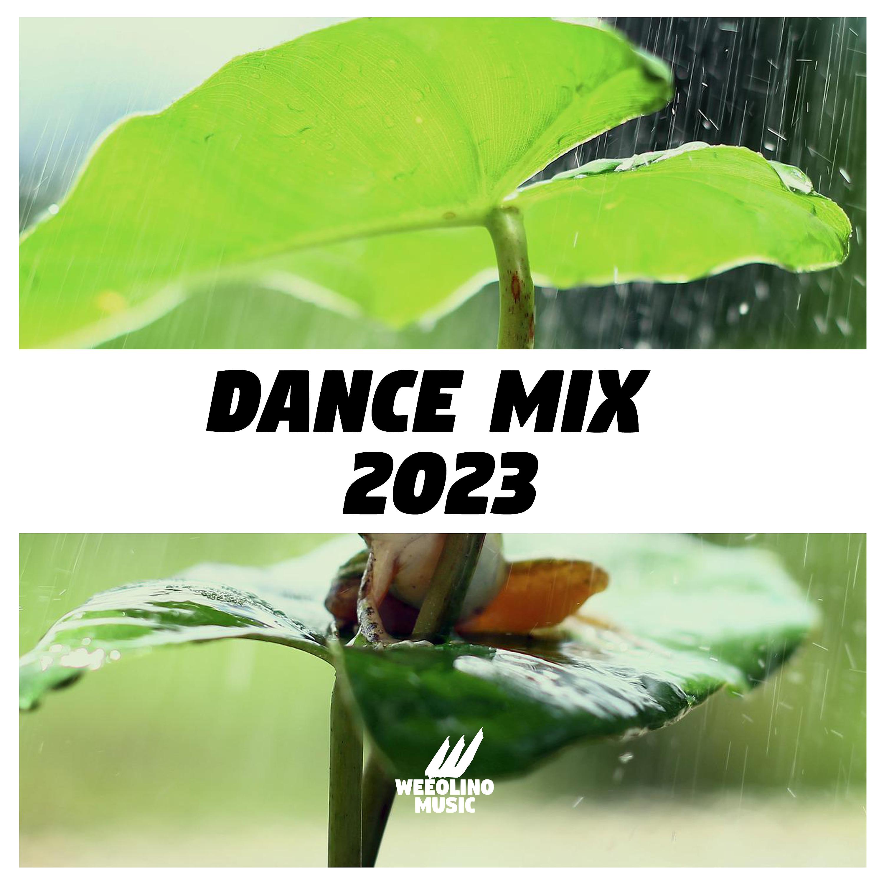 Постер альбома Dance Mix 2023