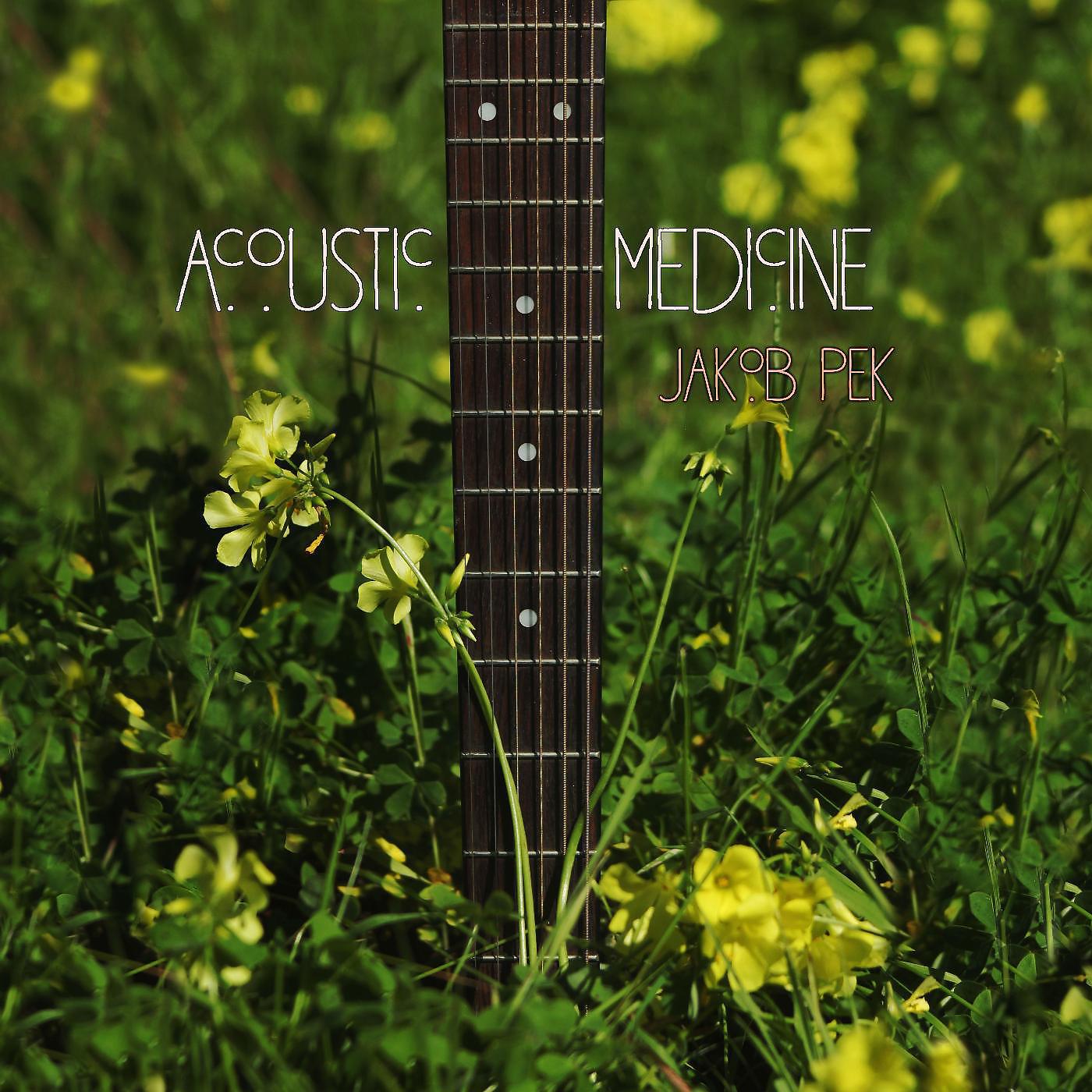 Постер альбома Acoustic Medicine