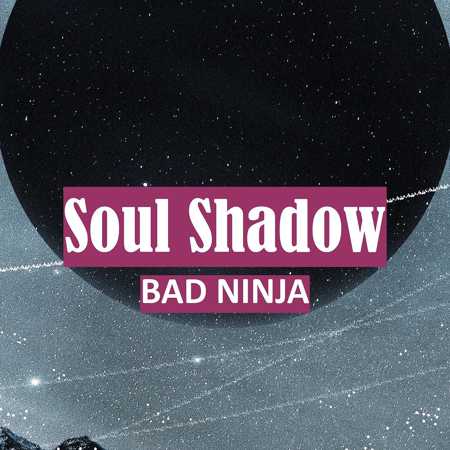 Постер альбома Soul Shadow