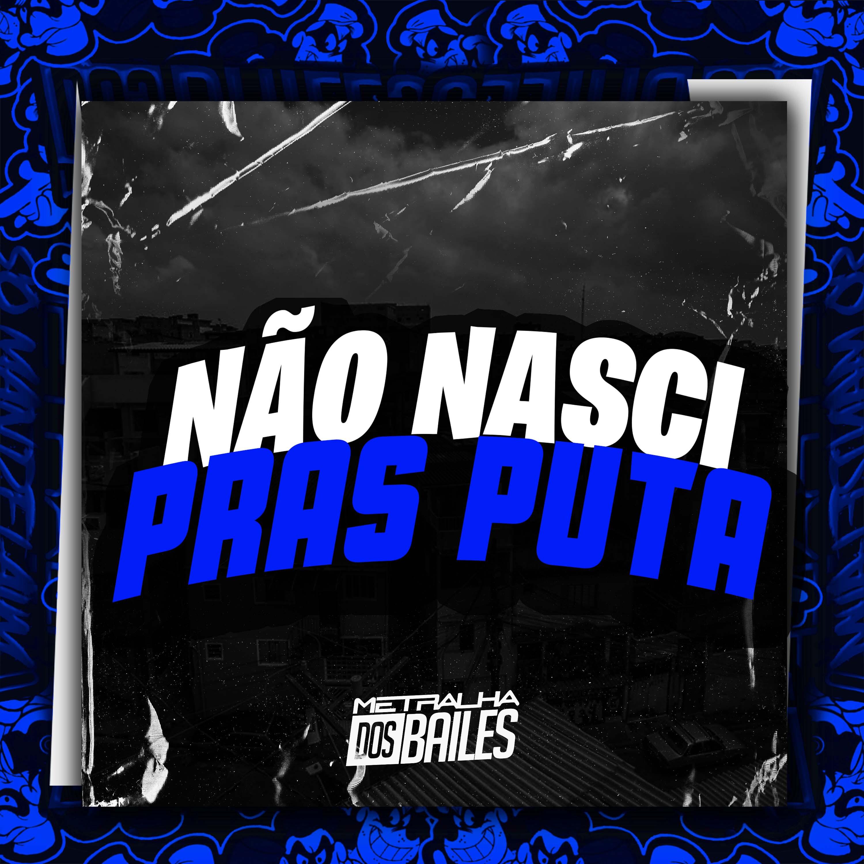 Постер альбома Não Nasci Pras Puta