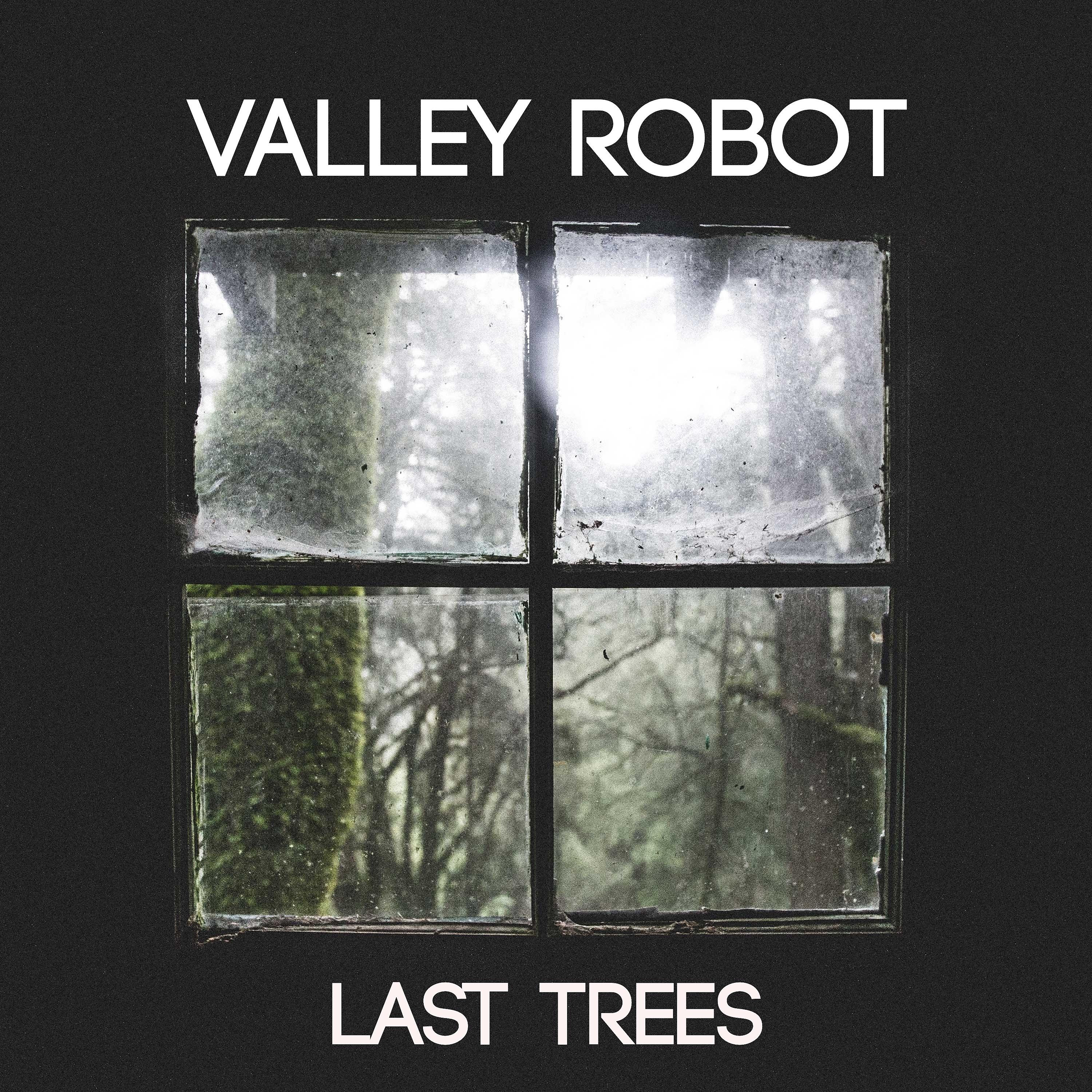 Постер альбома Last Trees