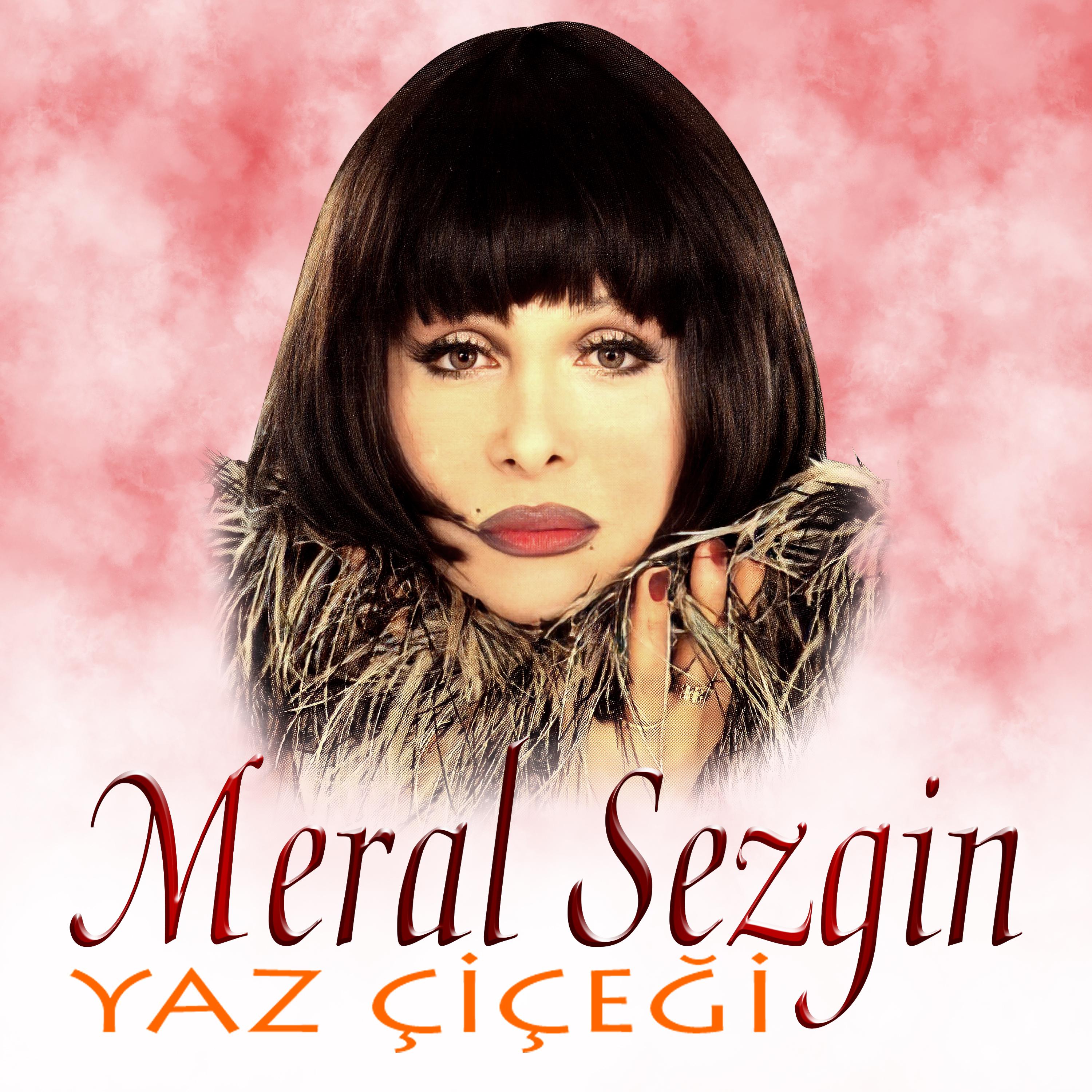 Постер альбома Yaz Çiçeği