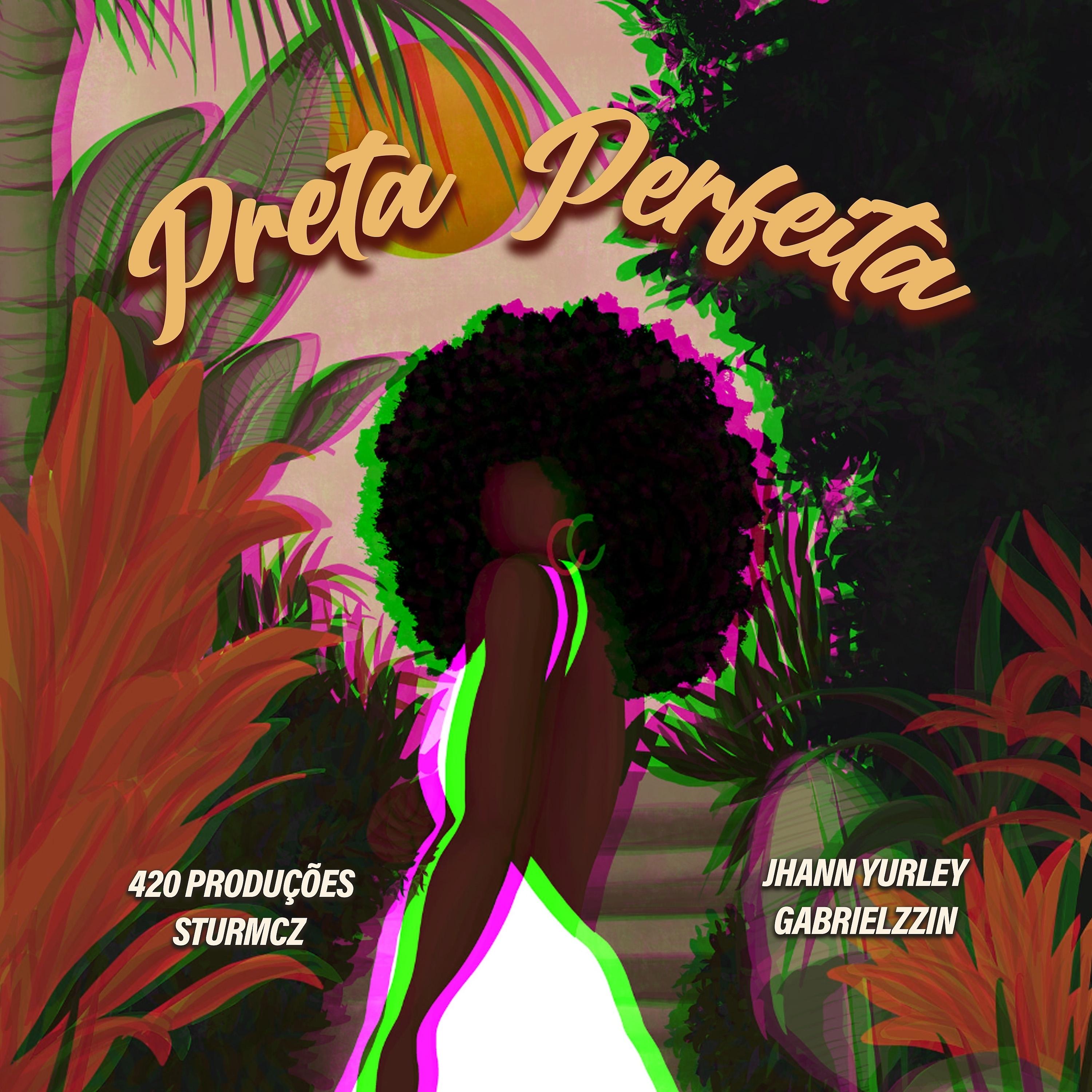 Постер альбома Preta Perfeita