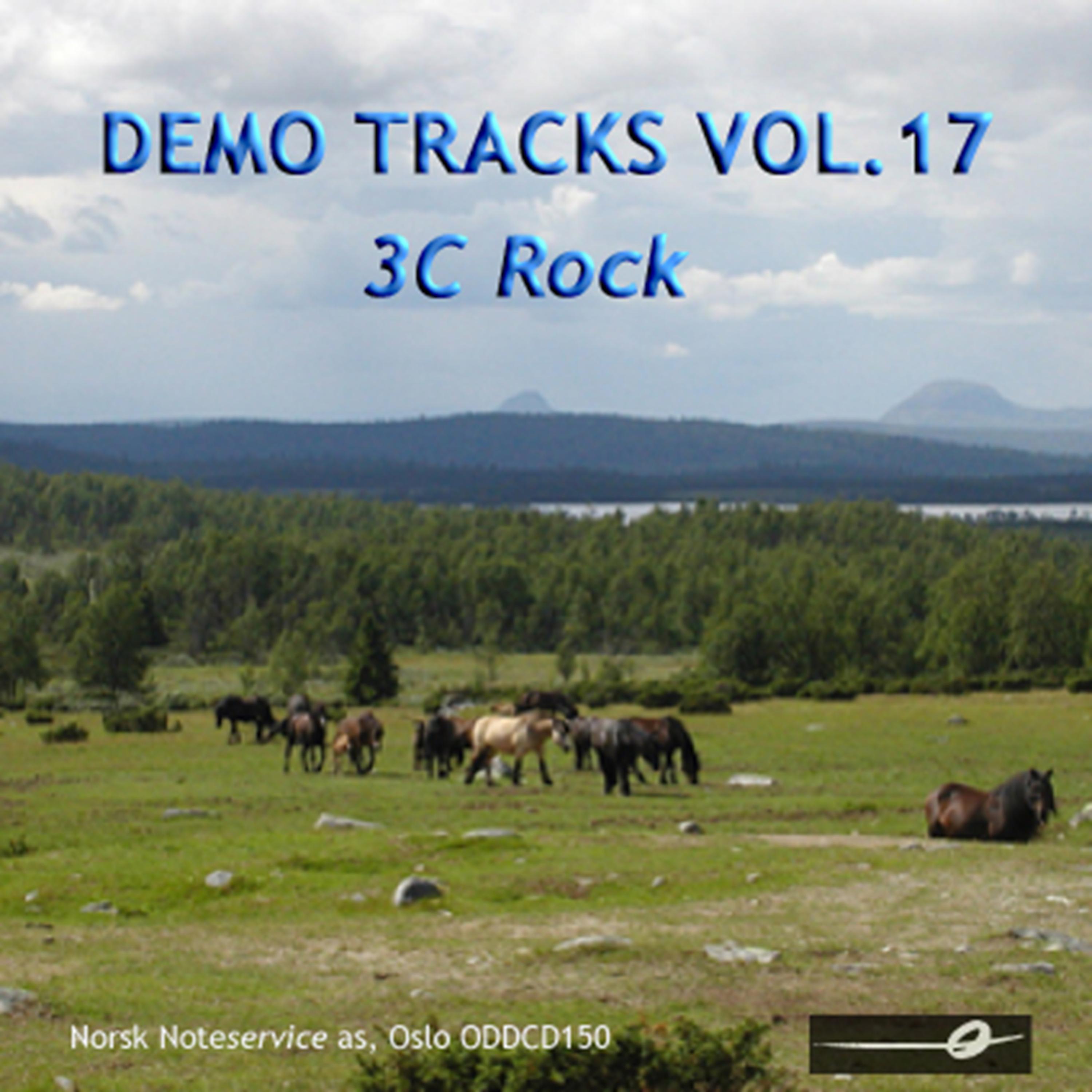 Постер альбома Vol. 17: 3c Rock - Demo Tracks