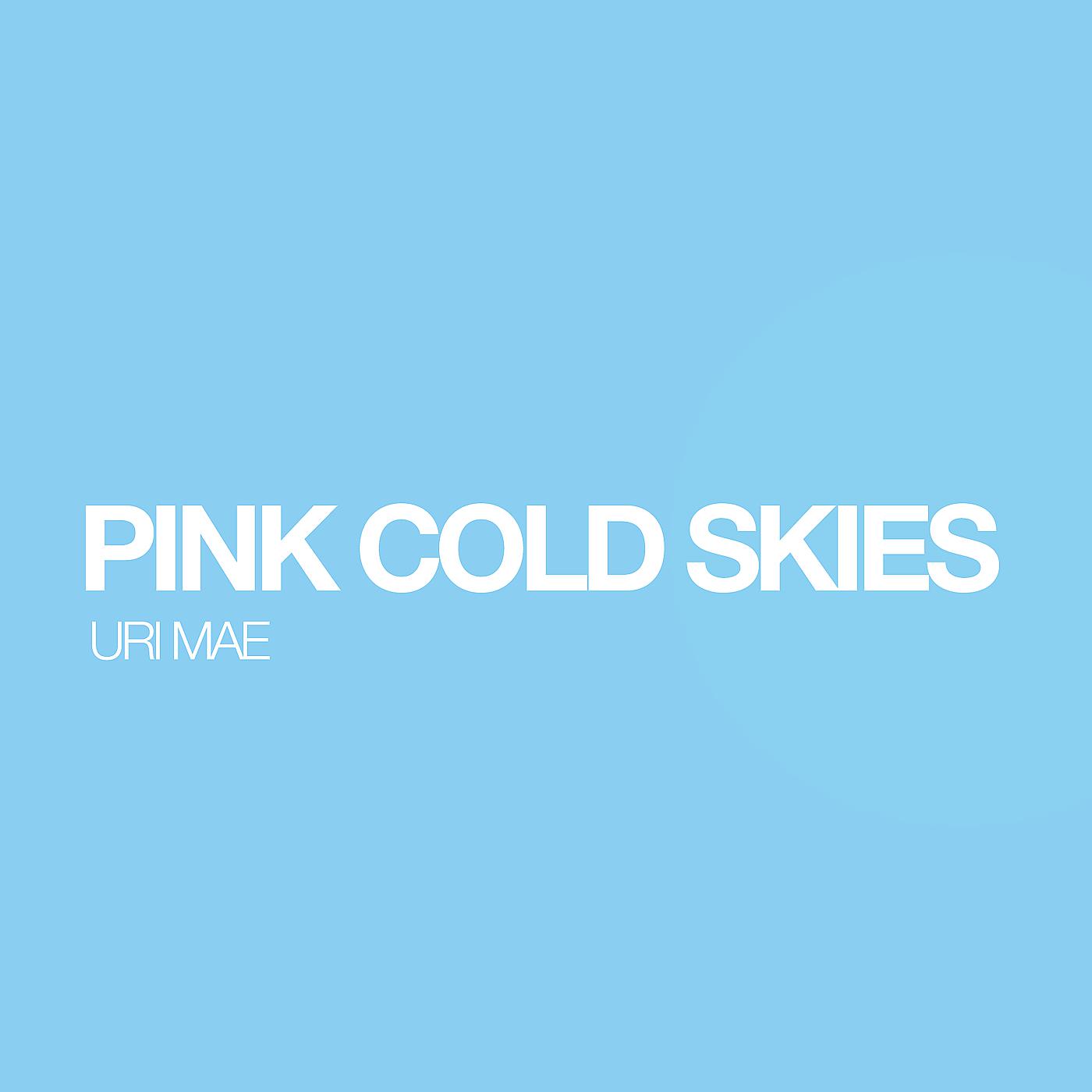 Постер альбома Pink Cold Skies