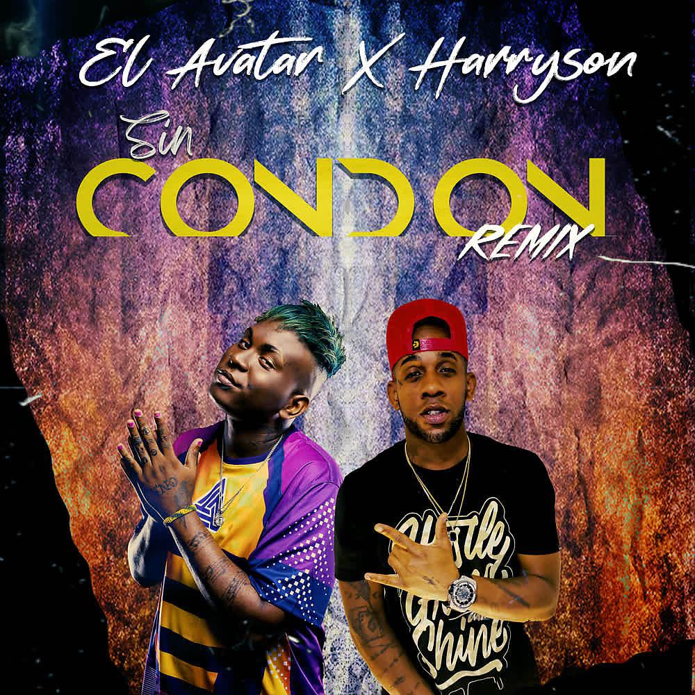 Постер альбома Sin Condón (Remix)