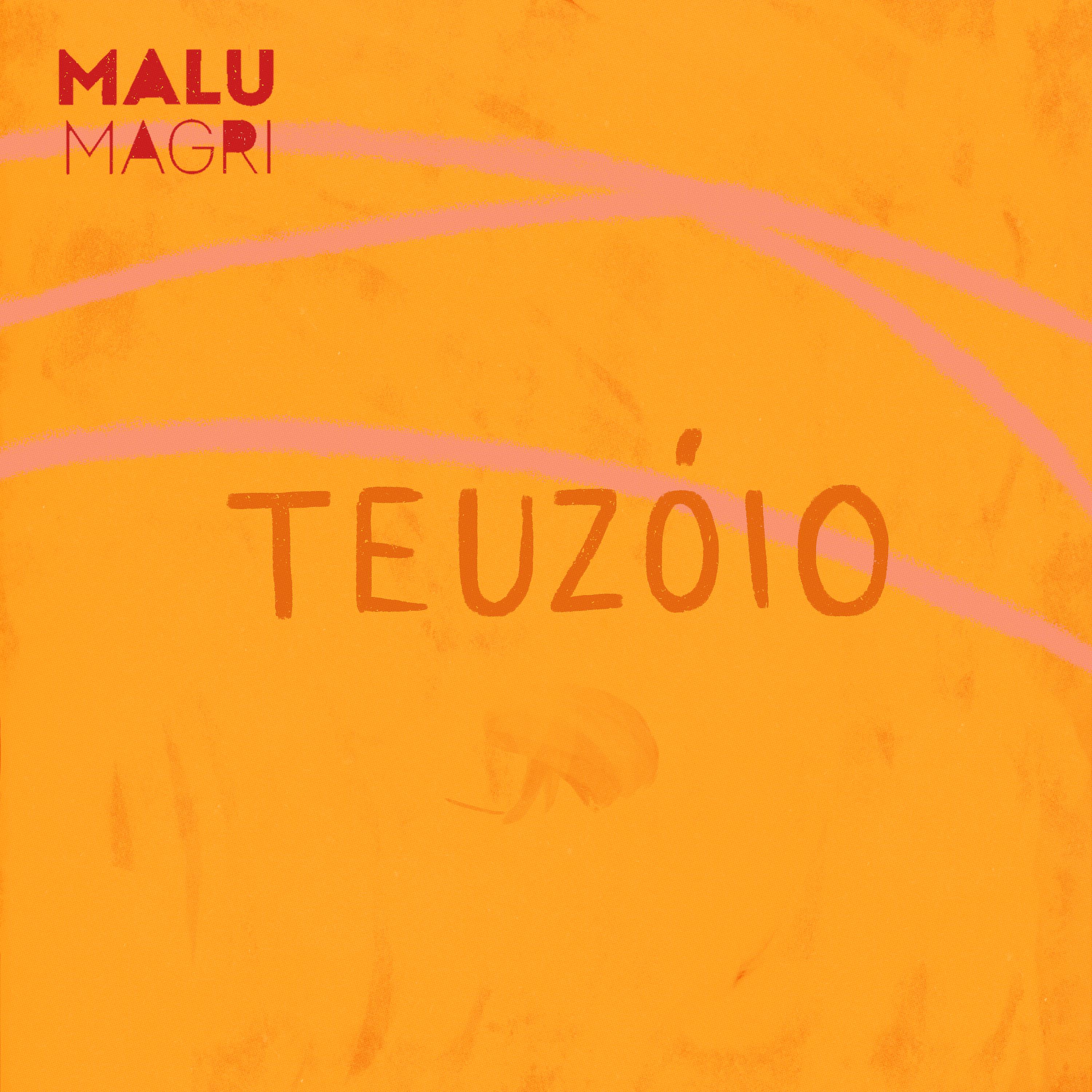Постер альбома Teuzóio