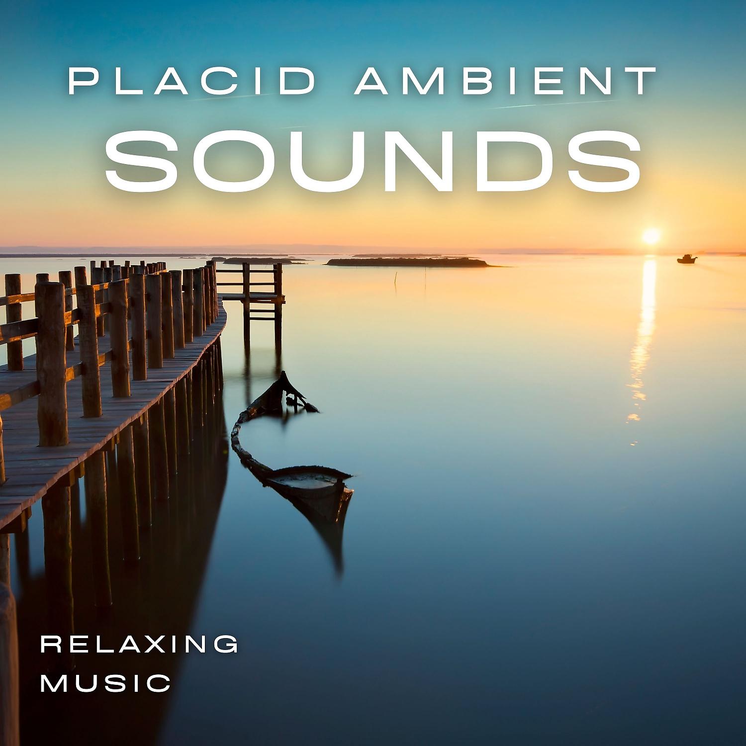 Постер альбома Placid Ambient Sounds