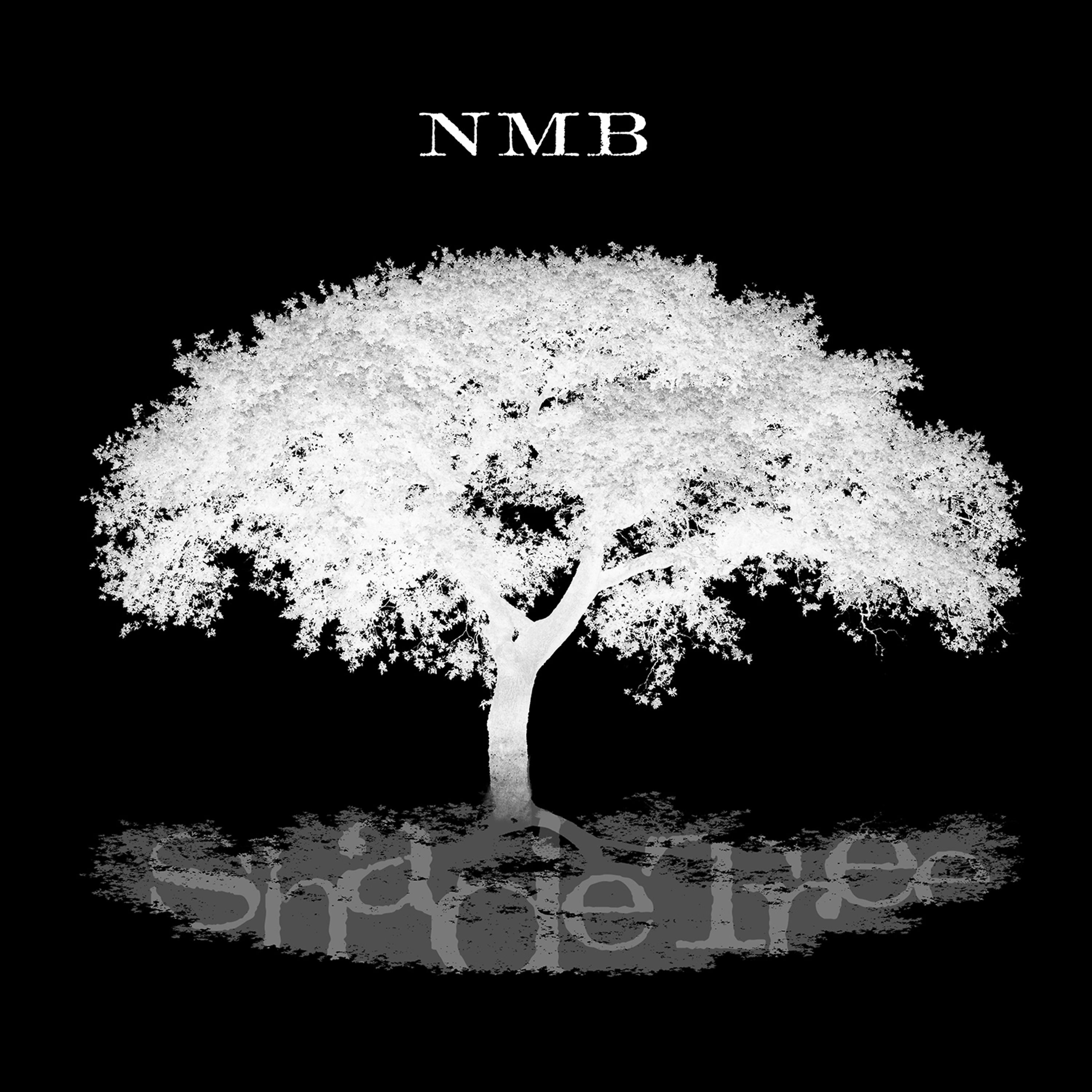 Постер альбома Shade Tree - Single