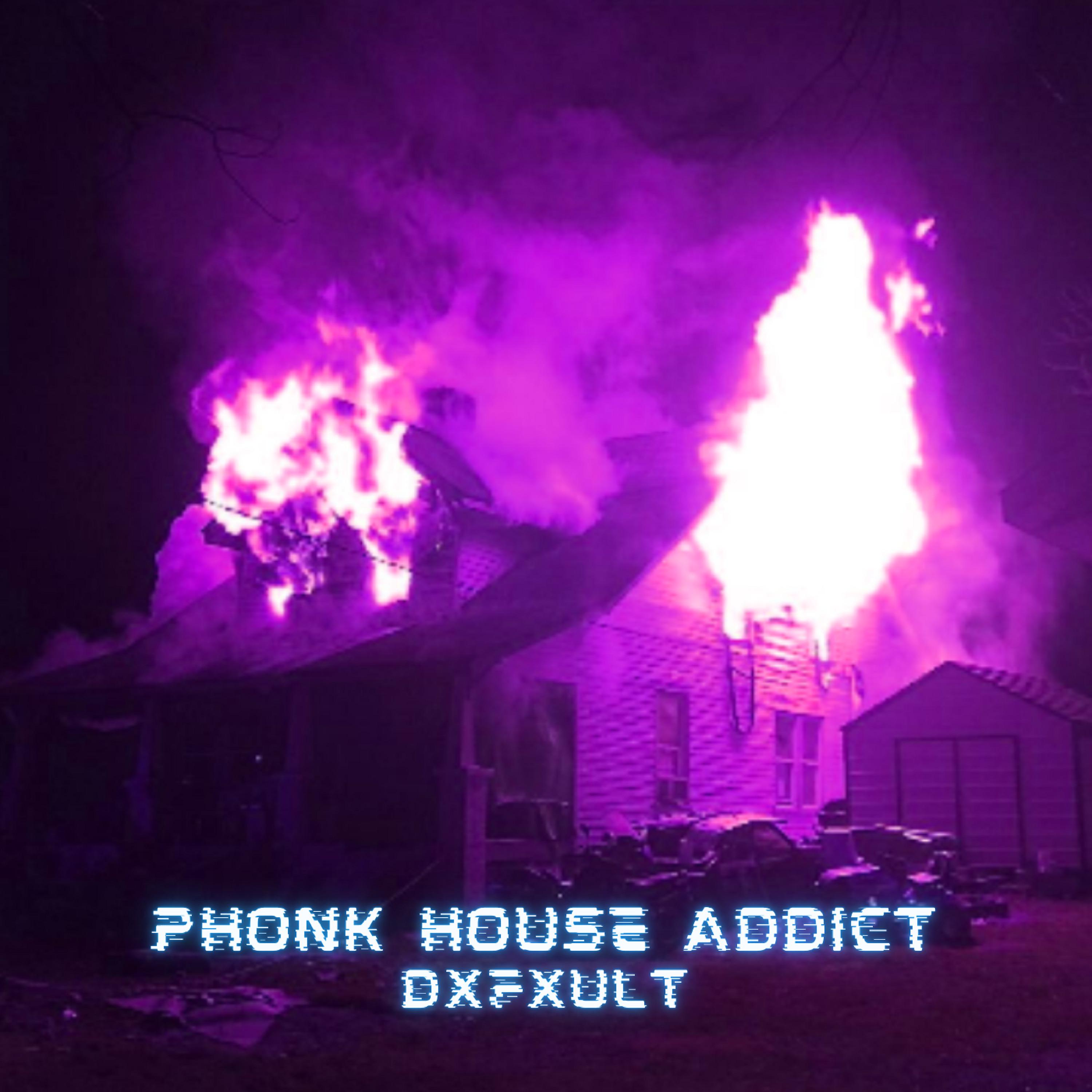 Постер альбома Phonk House Addict