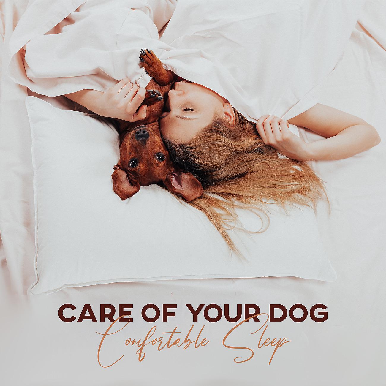 Постер альбома Care of Your Dog