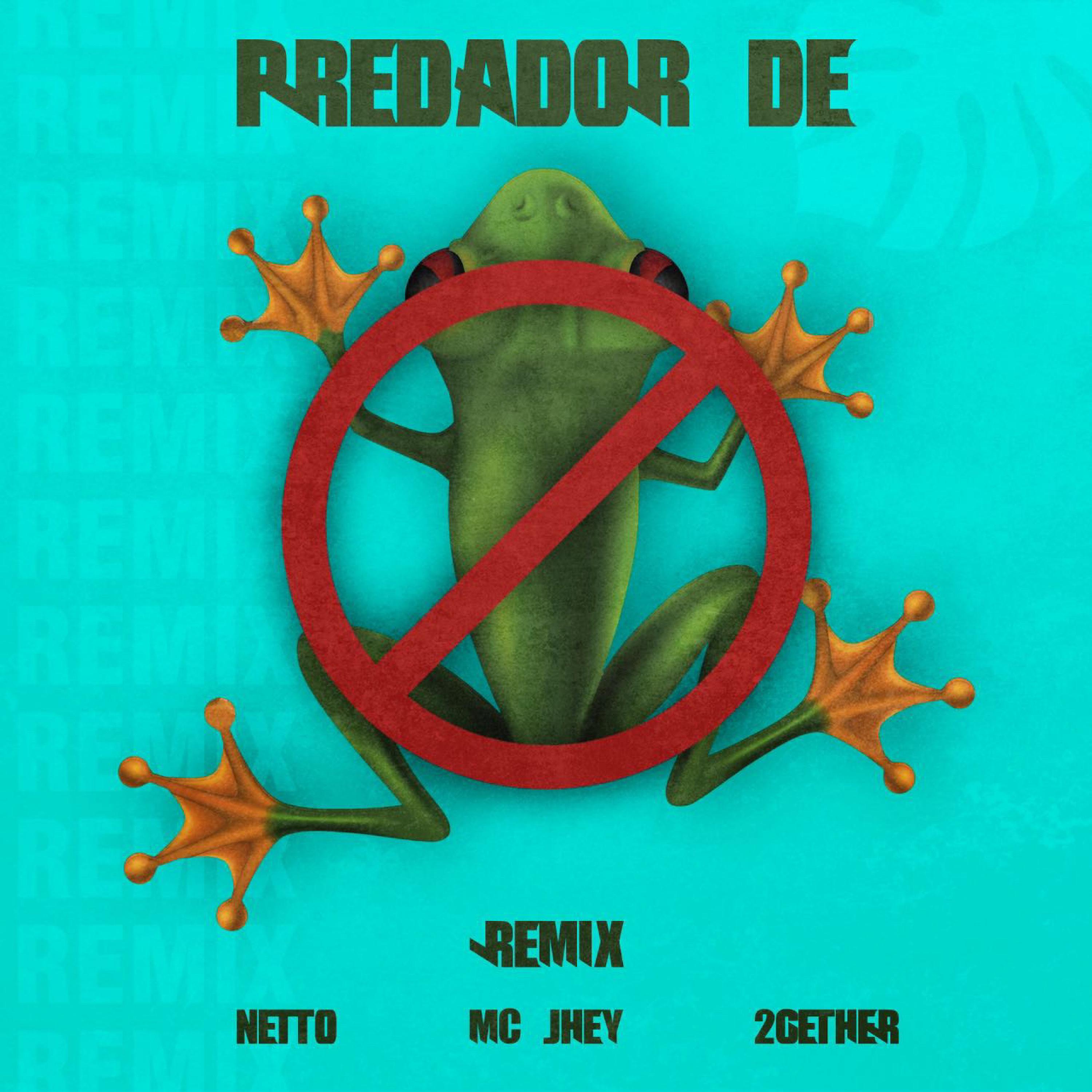 Постер альбома Predador de Perereca (Remix)