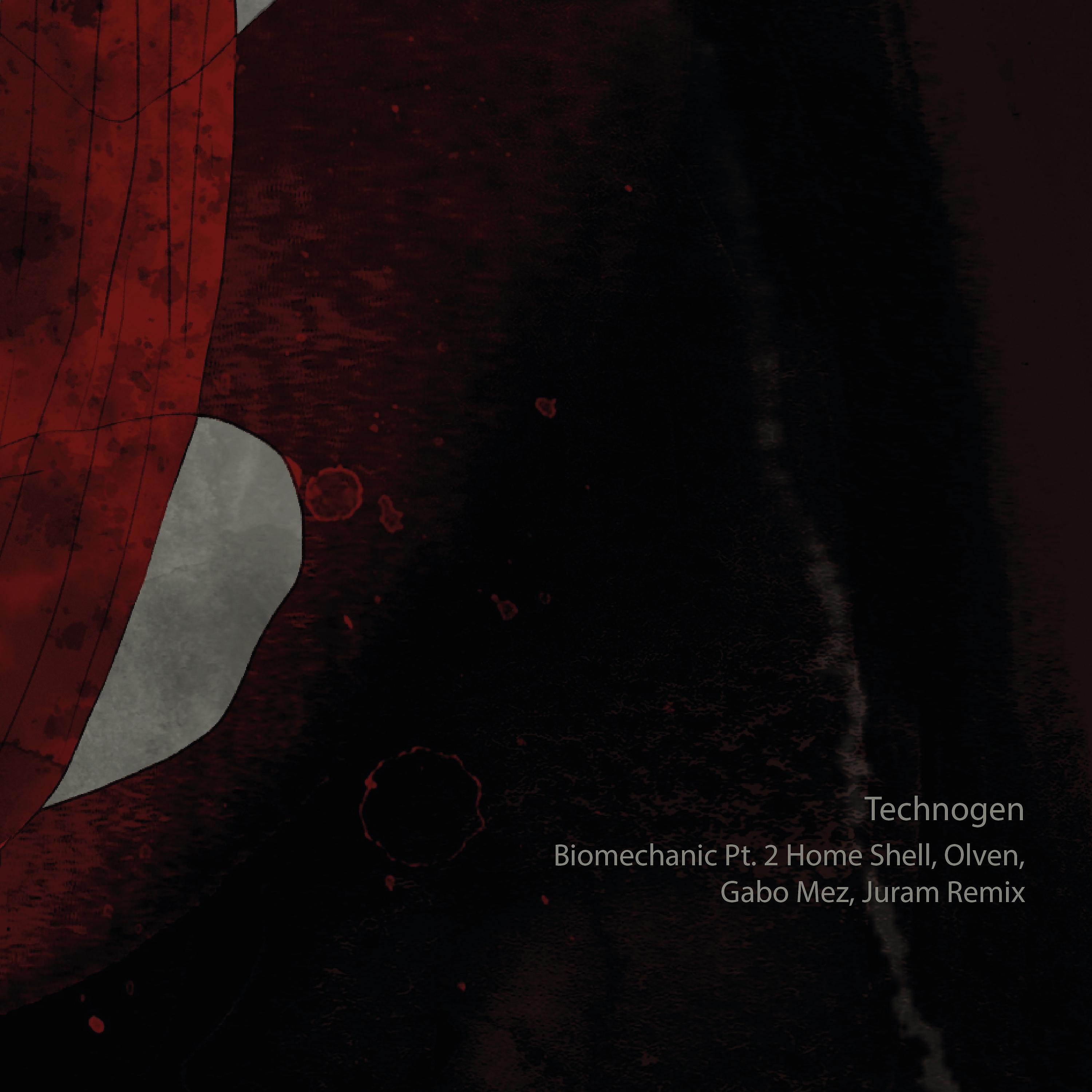 Постер альбома Biomechanic, Pt. 2 (Home Shell, Olven, Gabo Mez, Juram Remix)