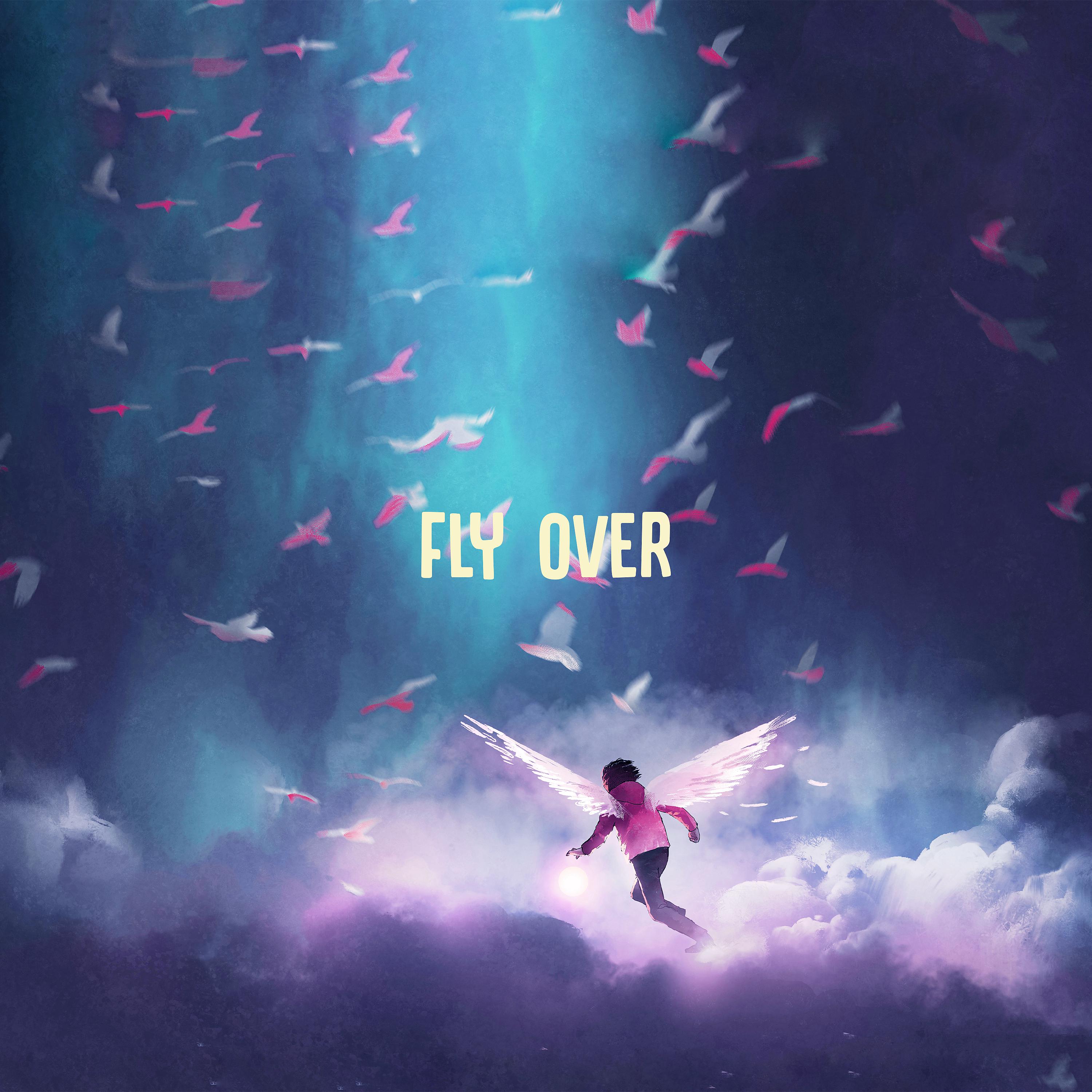 Постер альбома Fly Over